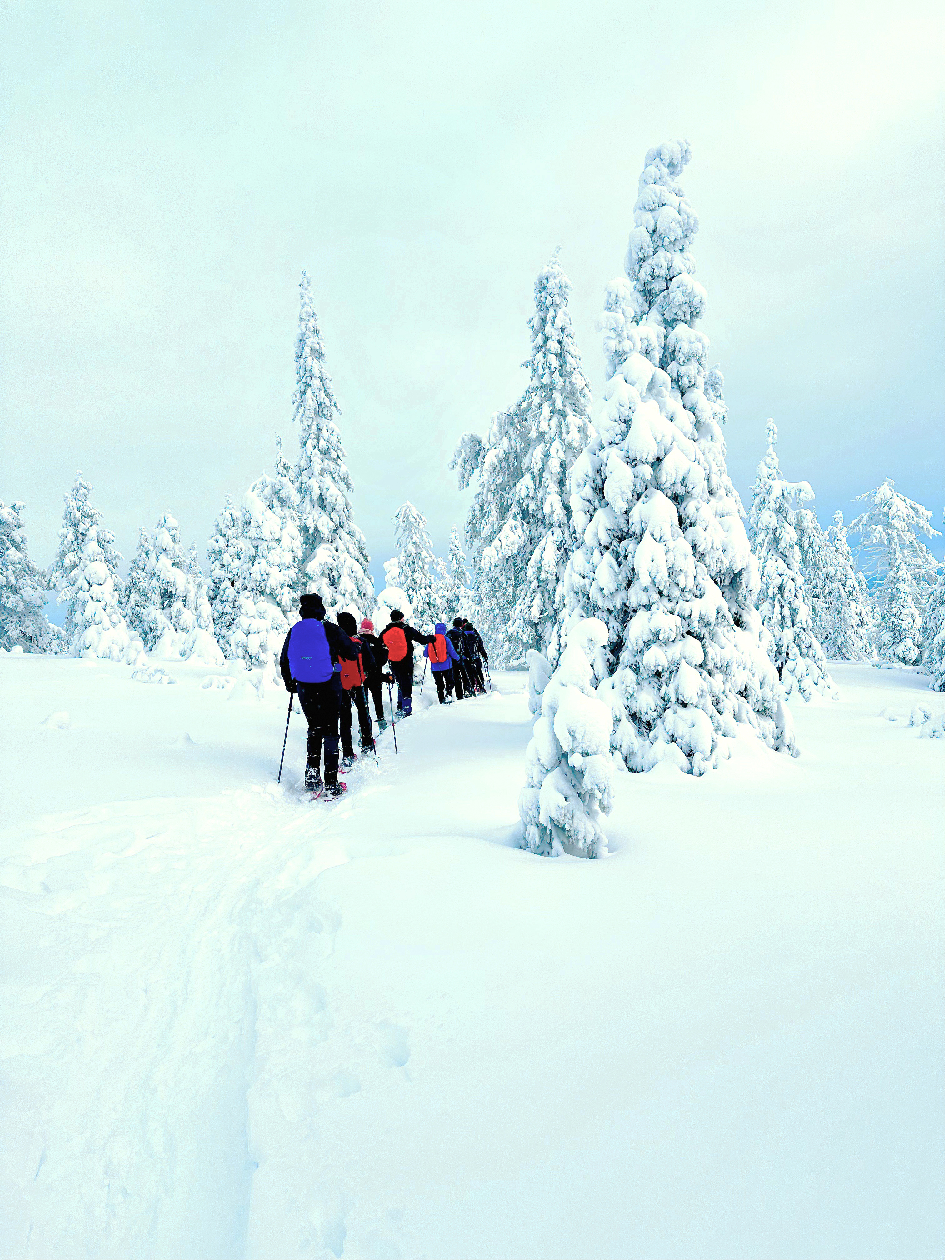 tourhub | Exodus Adventure Travels | Finland Family Winter Adventure 