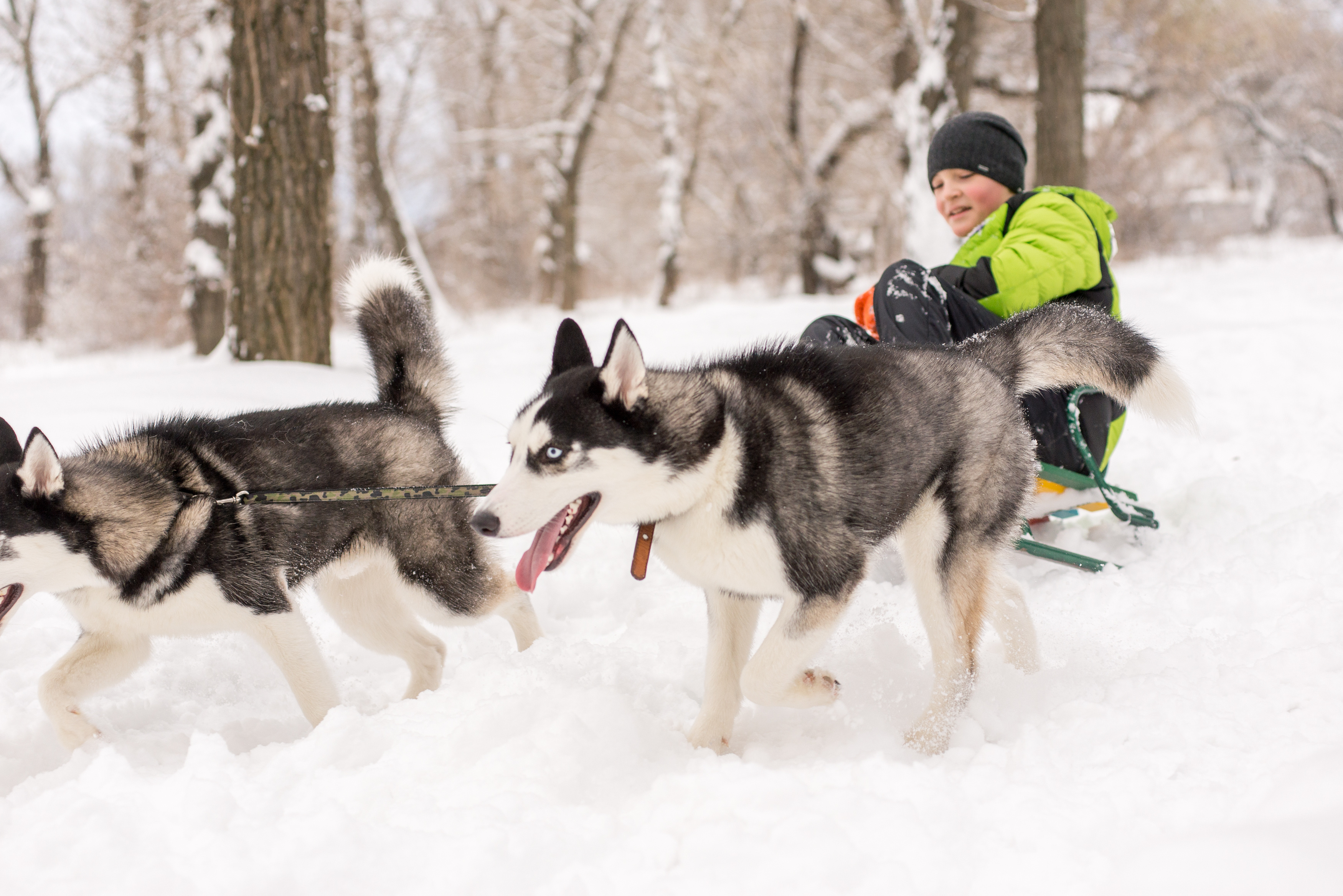 tourhub | Exodus Adventure Travels | Finland Family Winter Adventure 