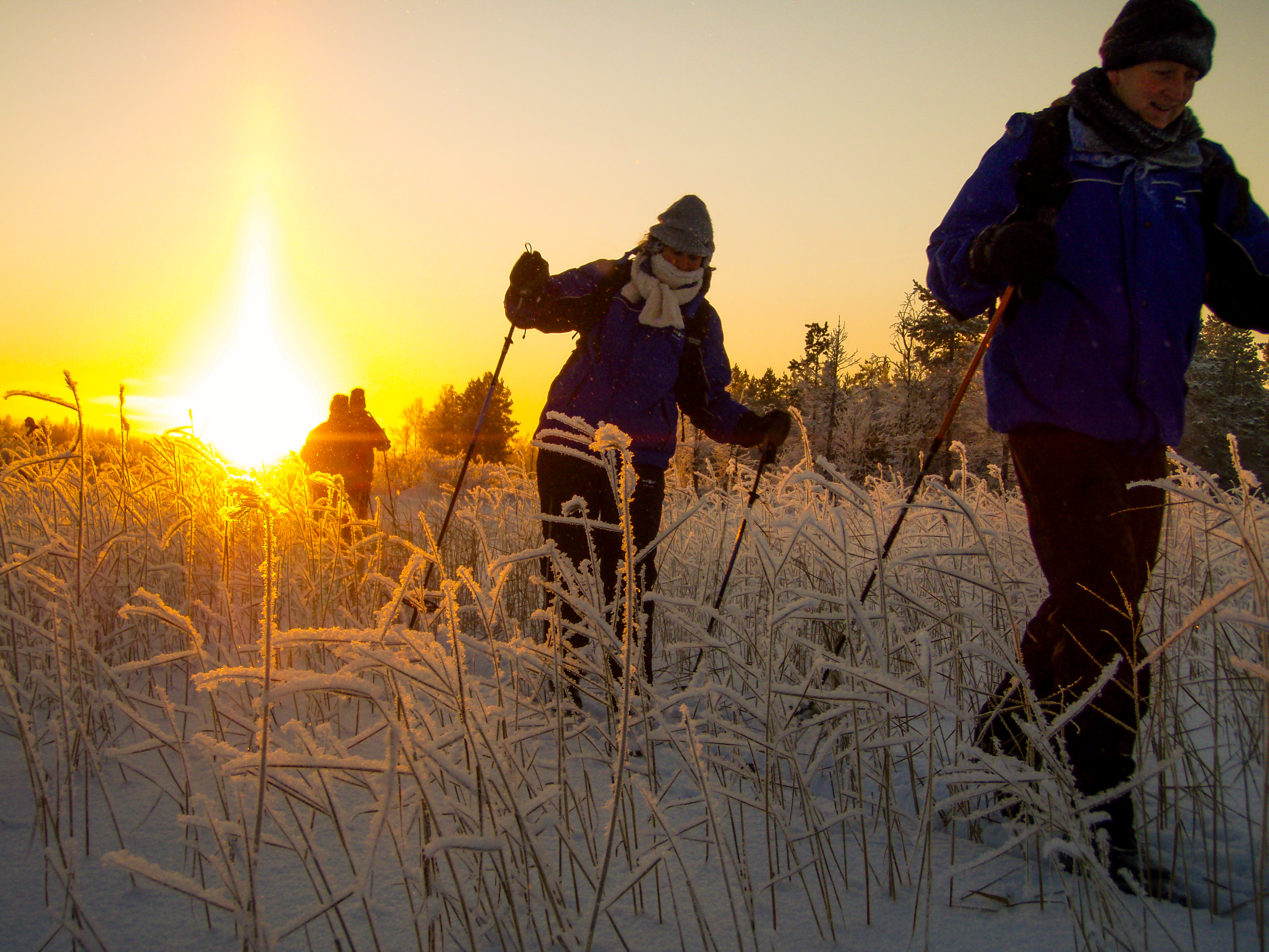 tourhub | Exodus Adventure Travels | Finnish Wilderness Week 