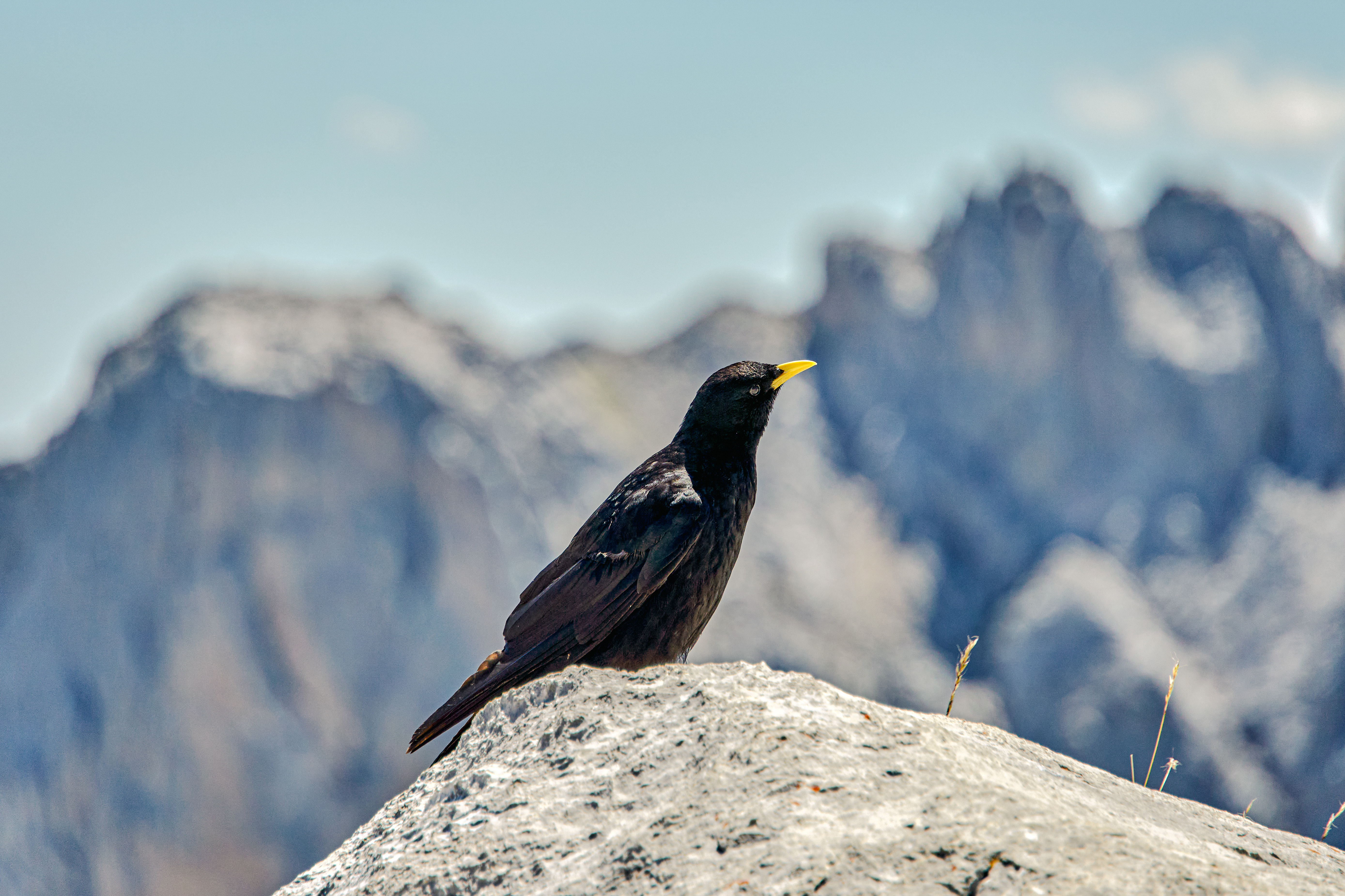 tourhub | Exodus Adventure Travels | Walking the Picos de Europa 