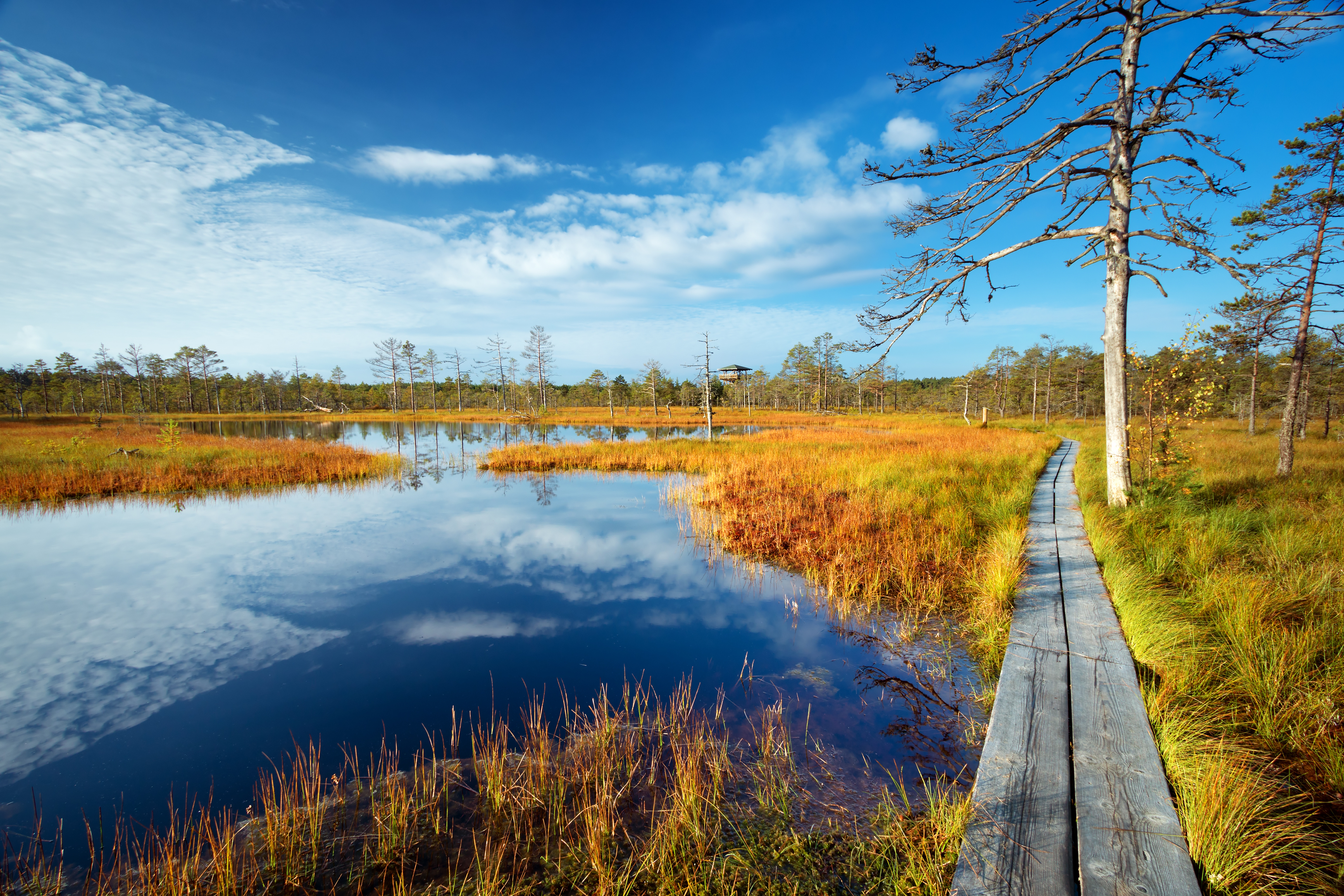 tourhub | Exodus Adventure Travels | Cycle the Baltics 