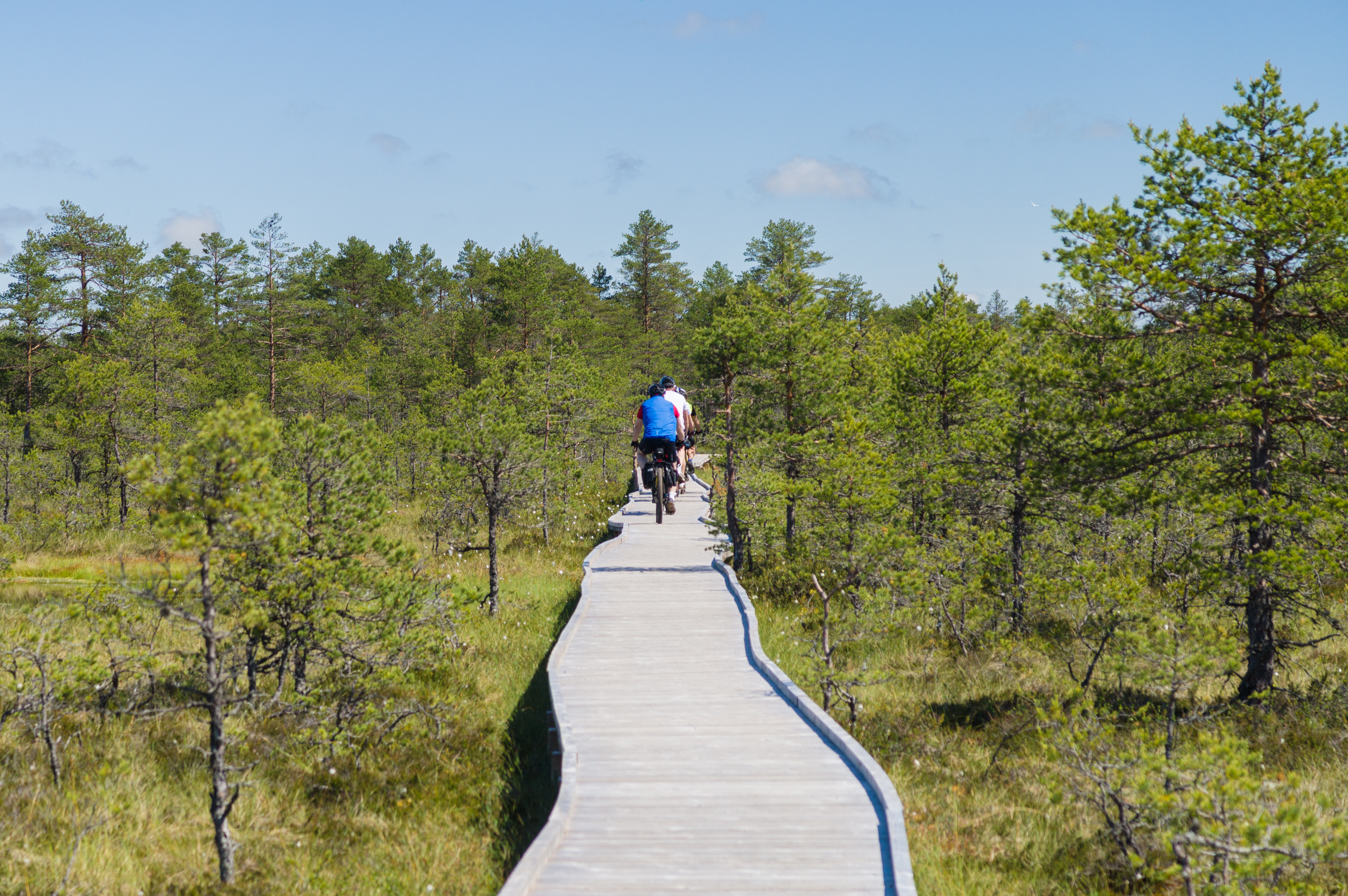 tourhub | Exodus Adventure Travels | Cycle the Baltics 