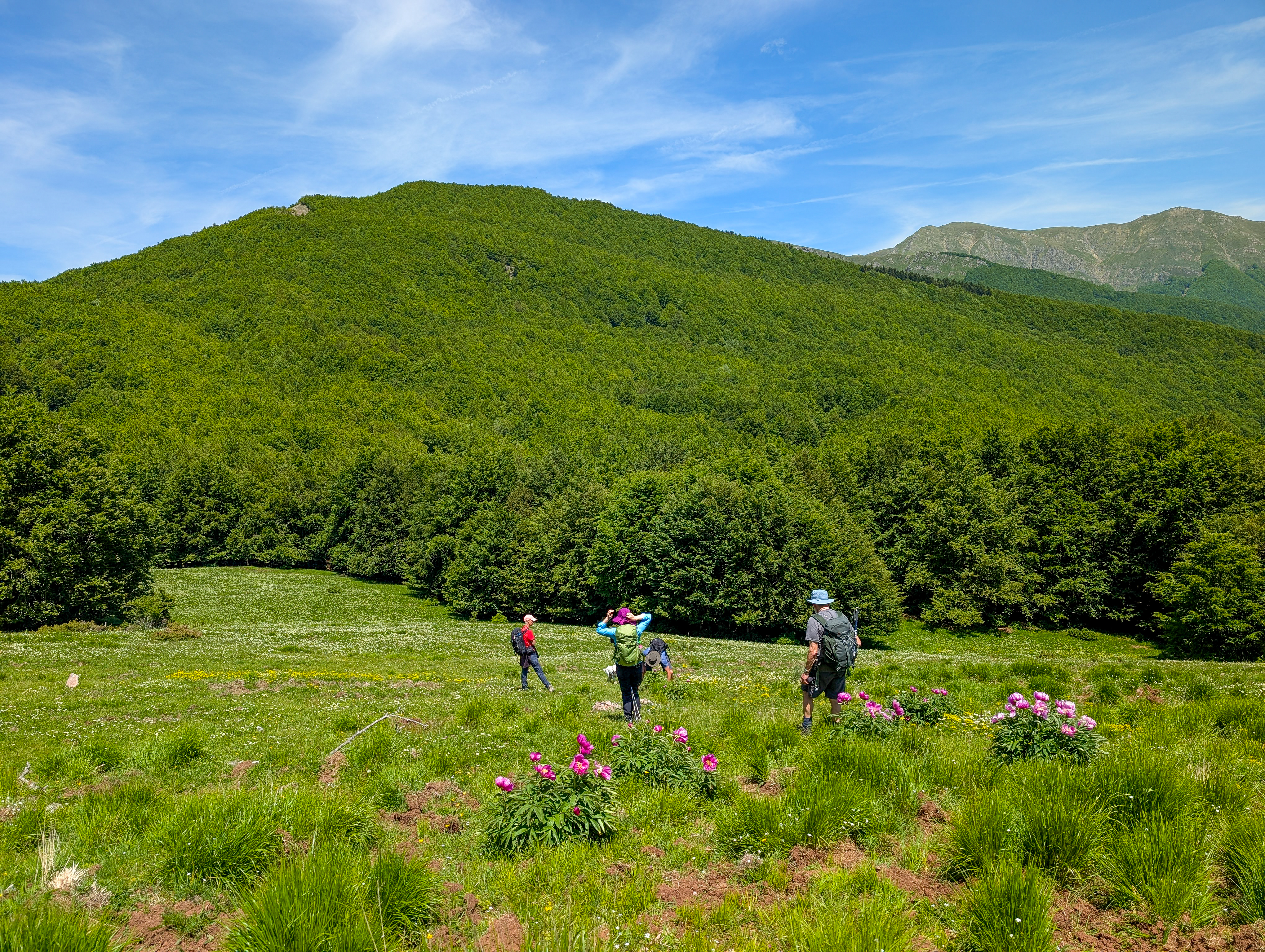 Walking in Tuscany