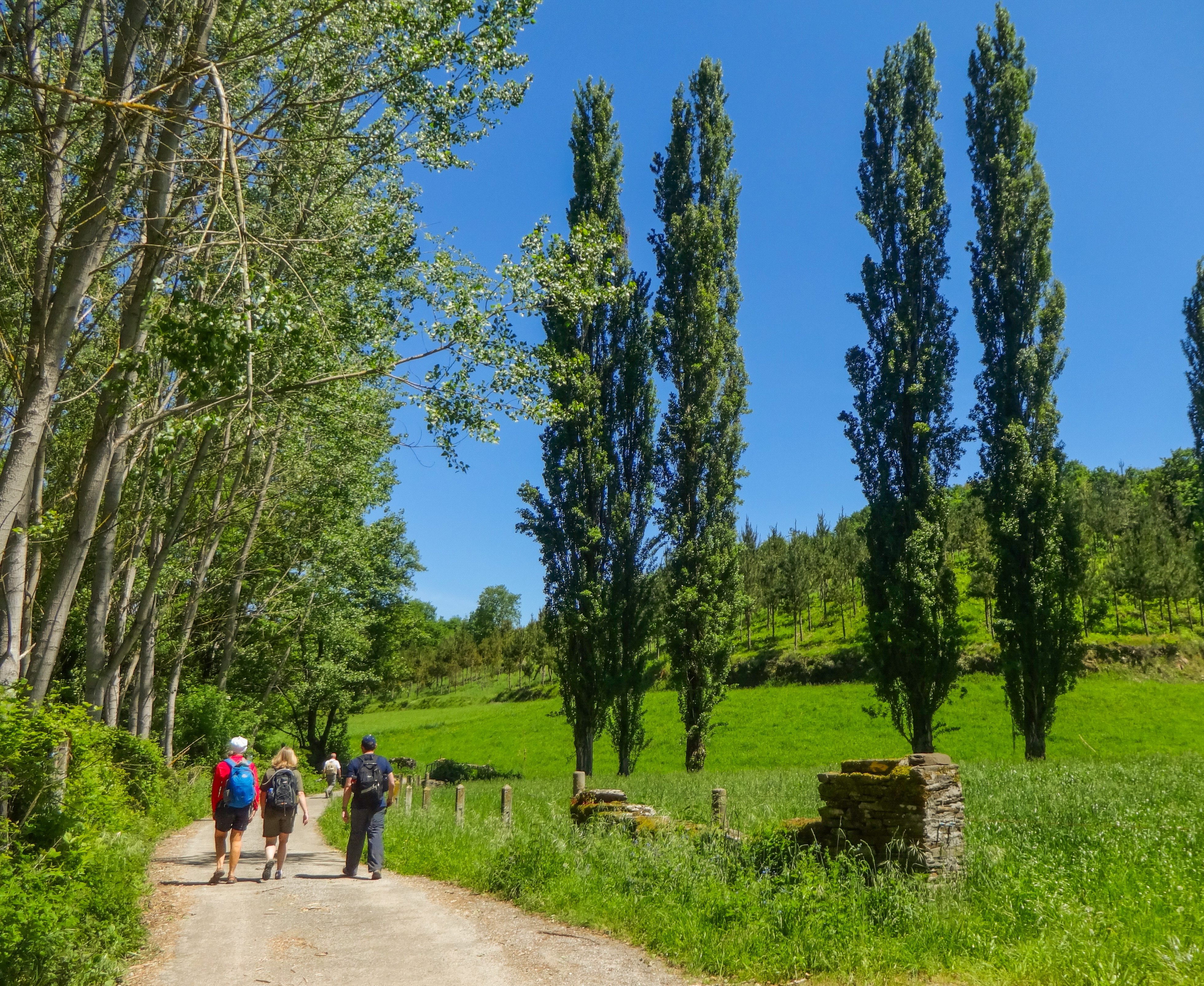 tourhub | Exodus Adventure Travels | Camino de Santiago Trek 