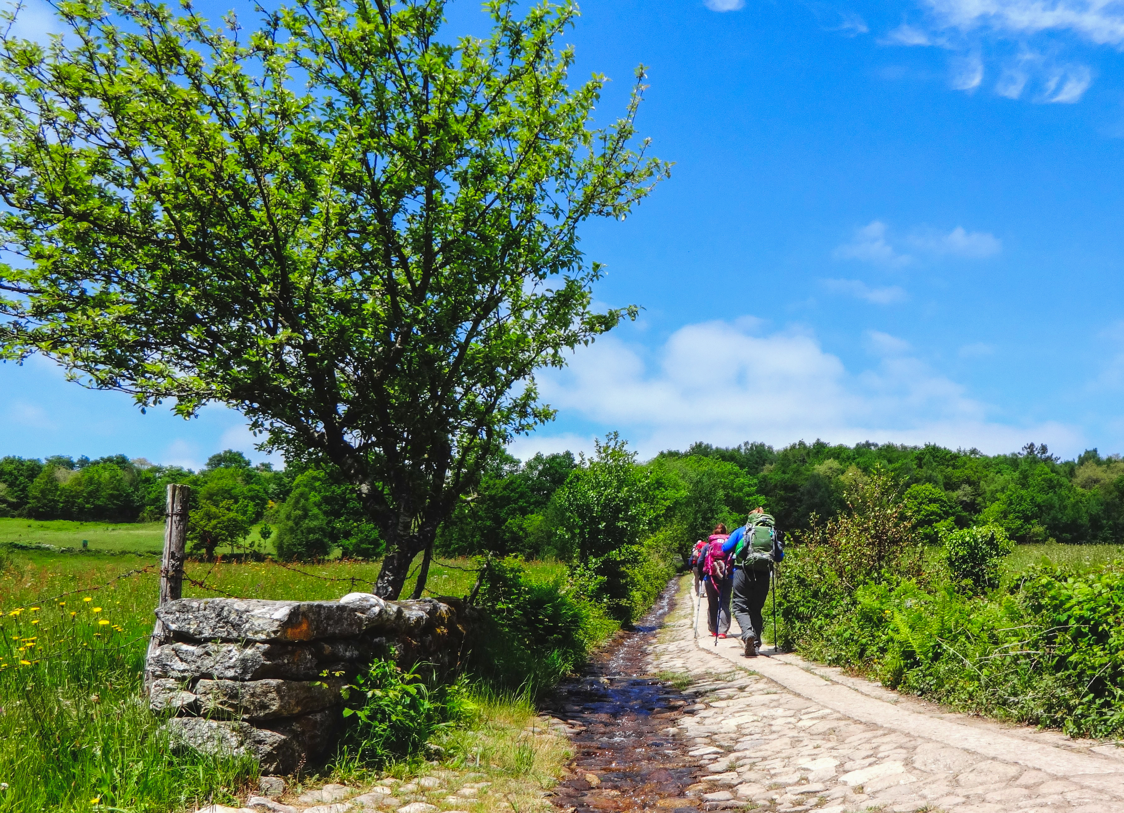 tourhub | Exodus Adventure Travels | Camino de Santiago Trek 