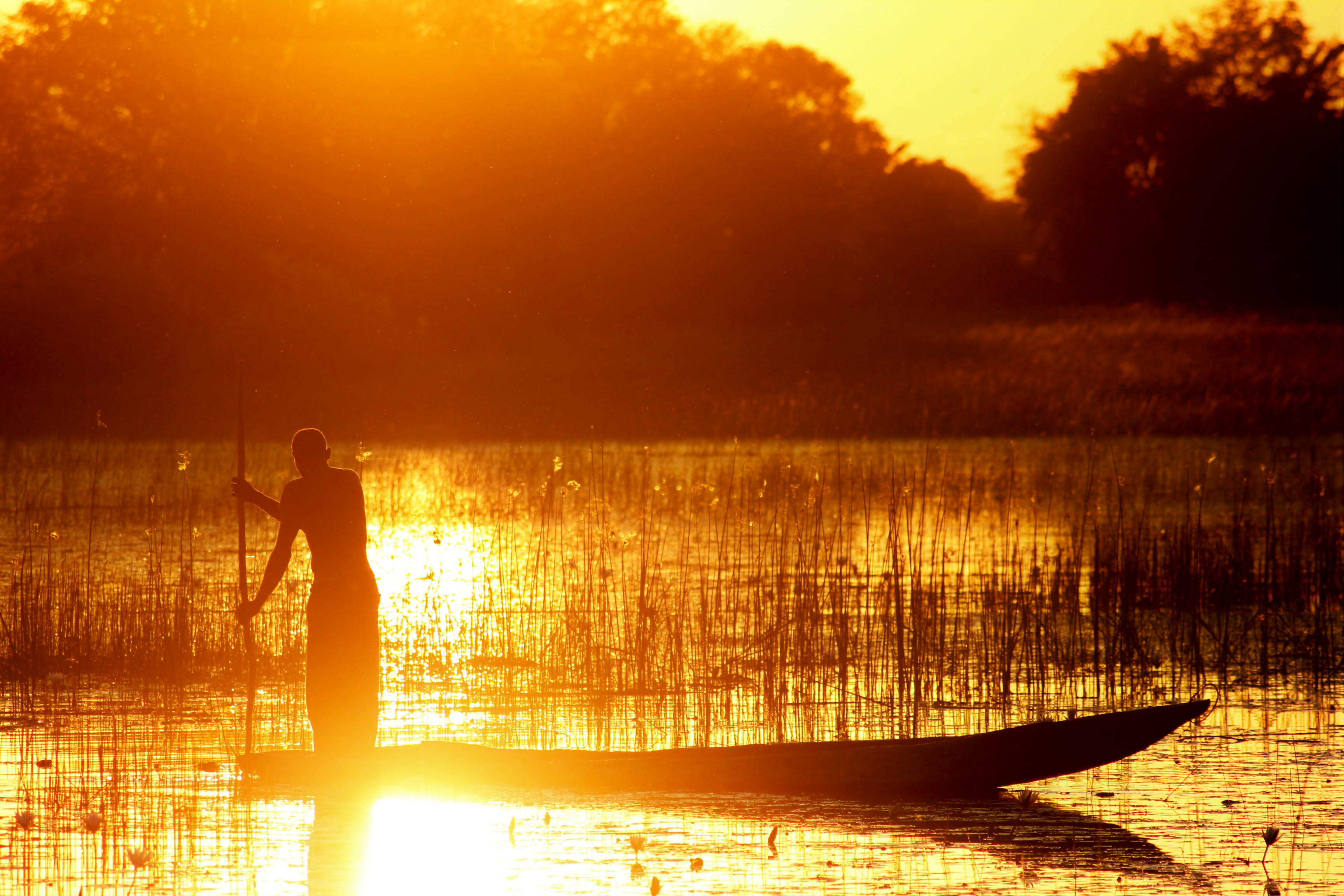 tourhub | Exodus Adventure Travels | Botswana & Zimbabwe Lodge Safari 