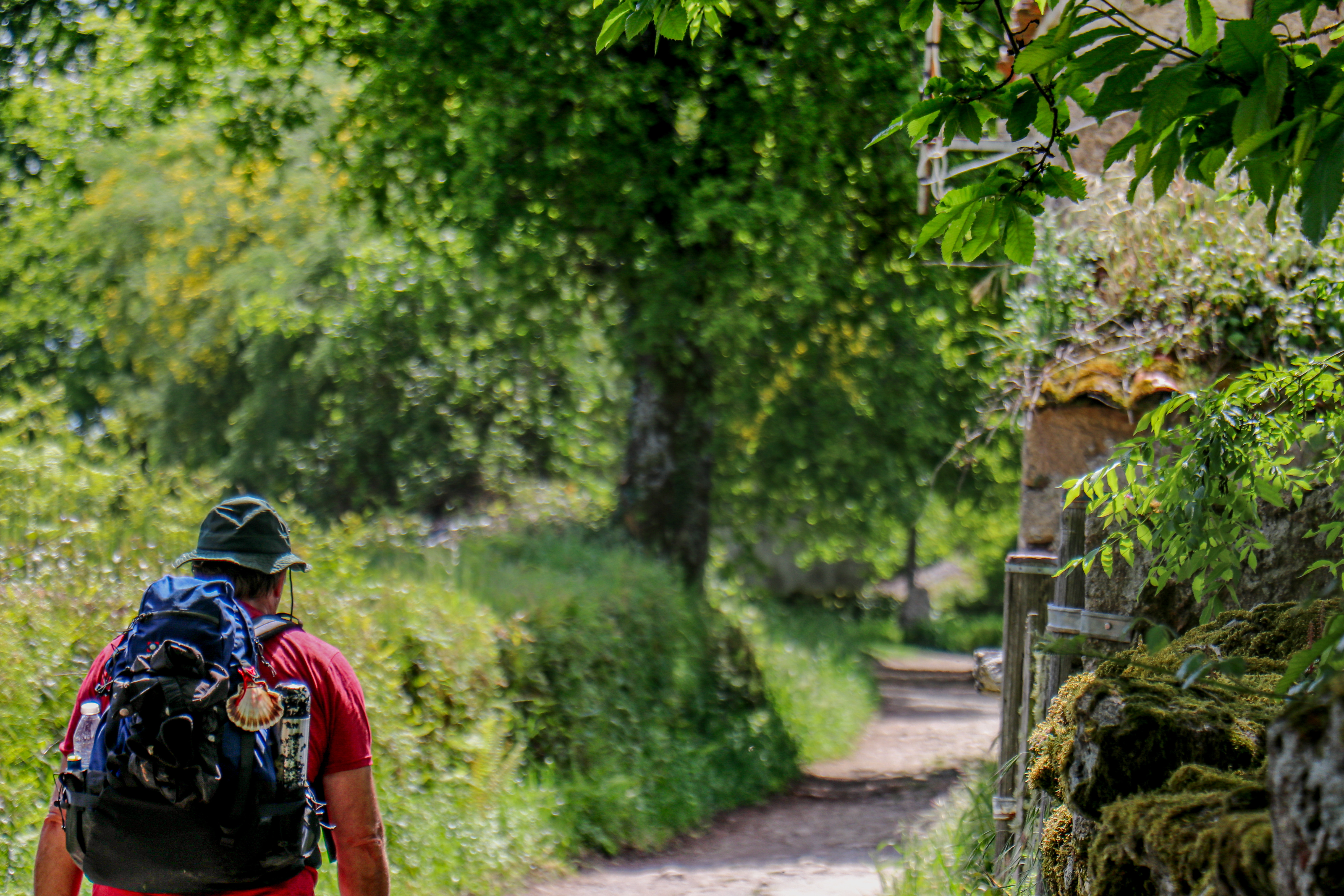 tourhub | Exodus Adventure Travels | Camino de Santiago Trek 