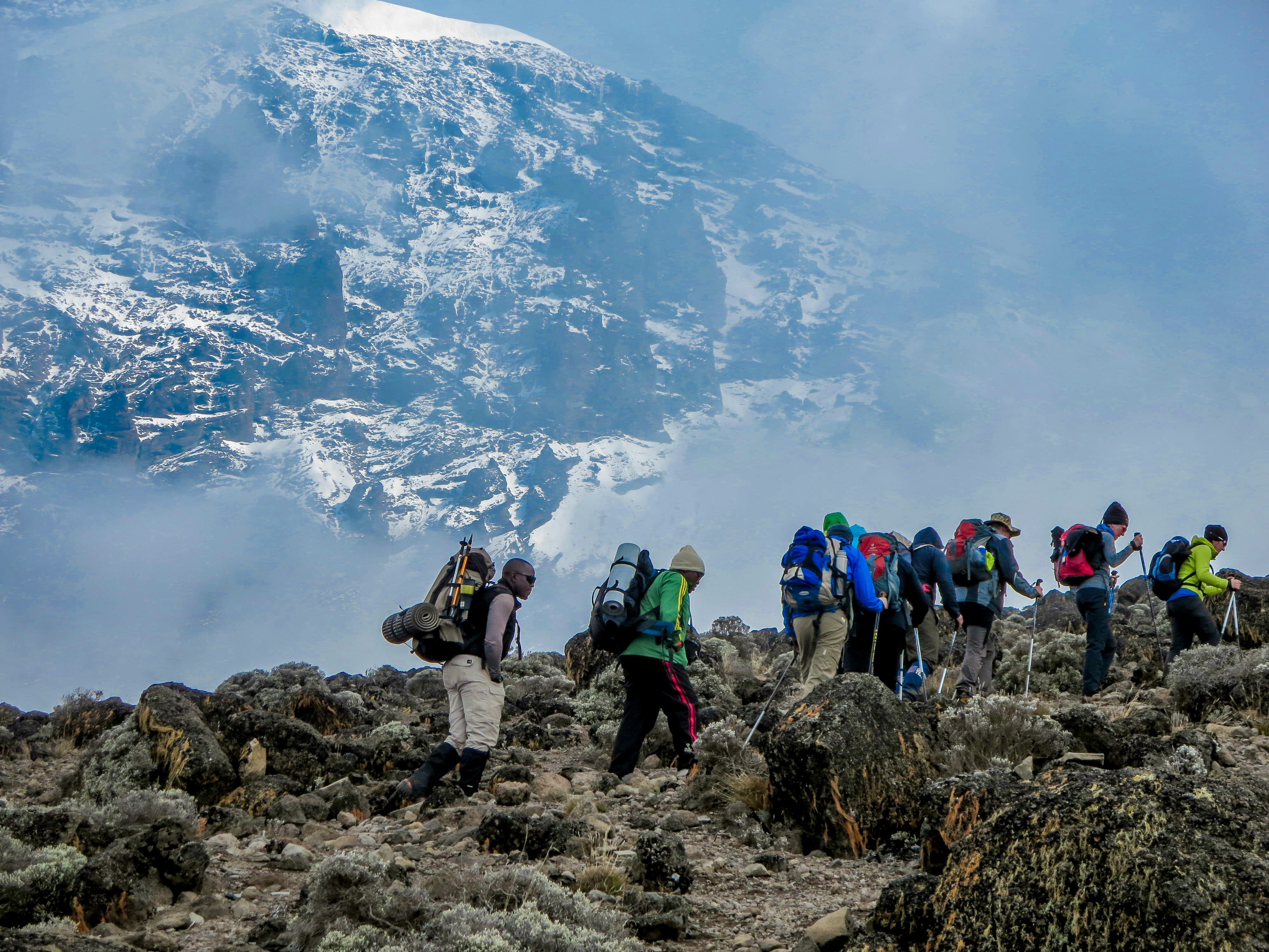 tourhub | Exodus Adventure Travels | Kilimanjaro Climb - Lemosho Route 