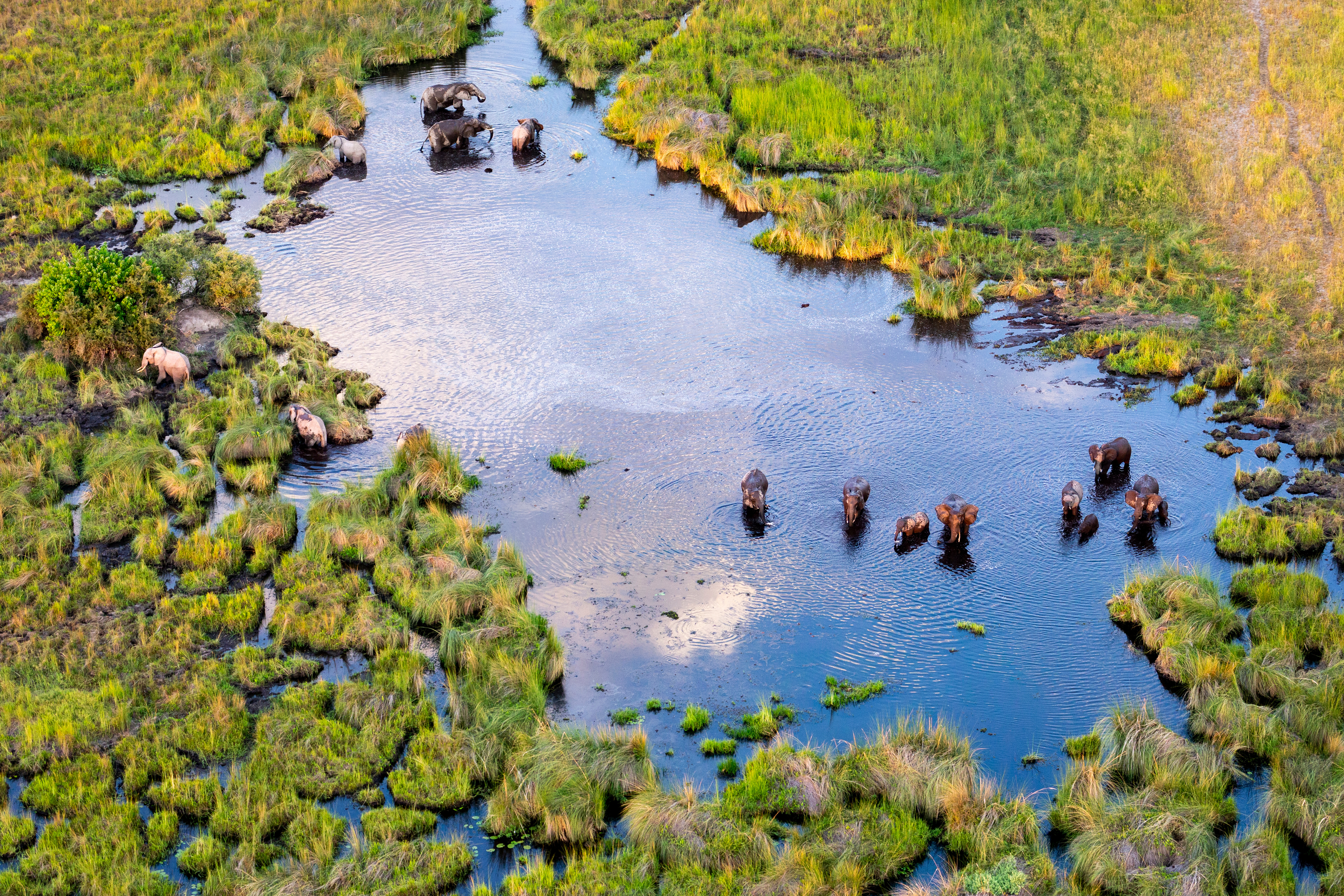 tourhub | Exodus Adventure Travels | Botswana & Zimbabwe Lodge Safari 