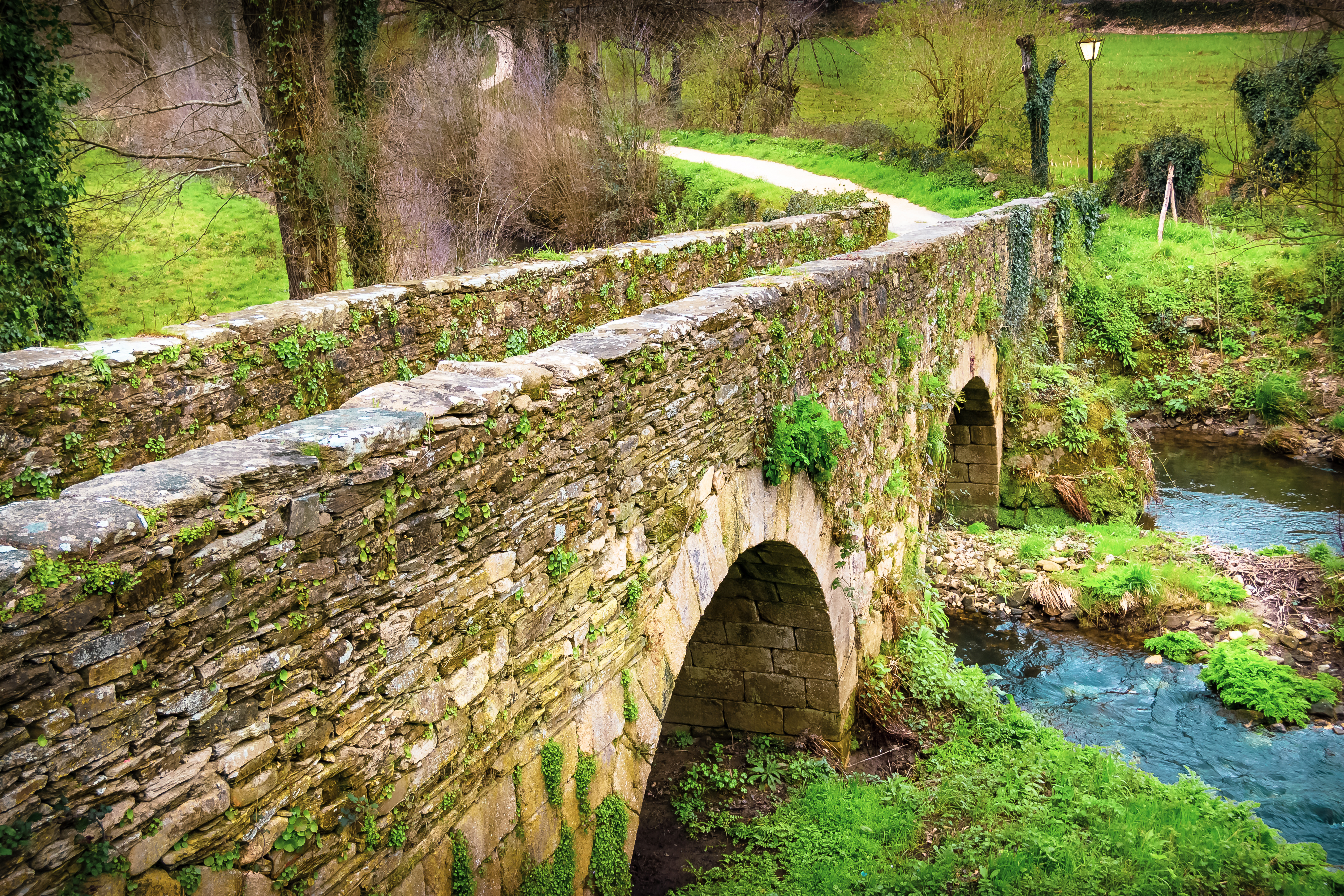 tourhub | Exodus Adventure Travels | Camino de Santiago Trek 