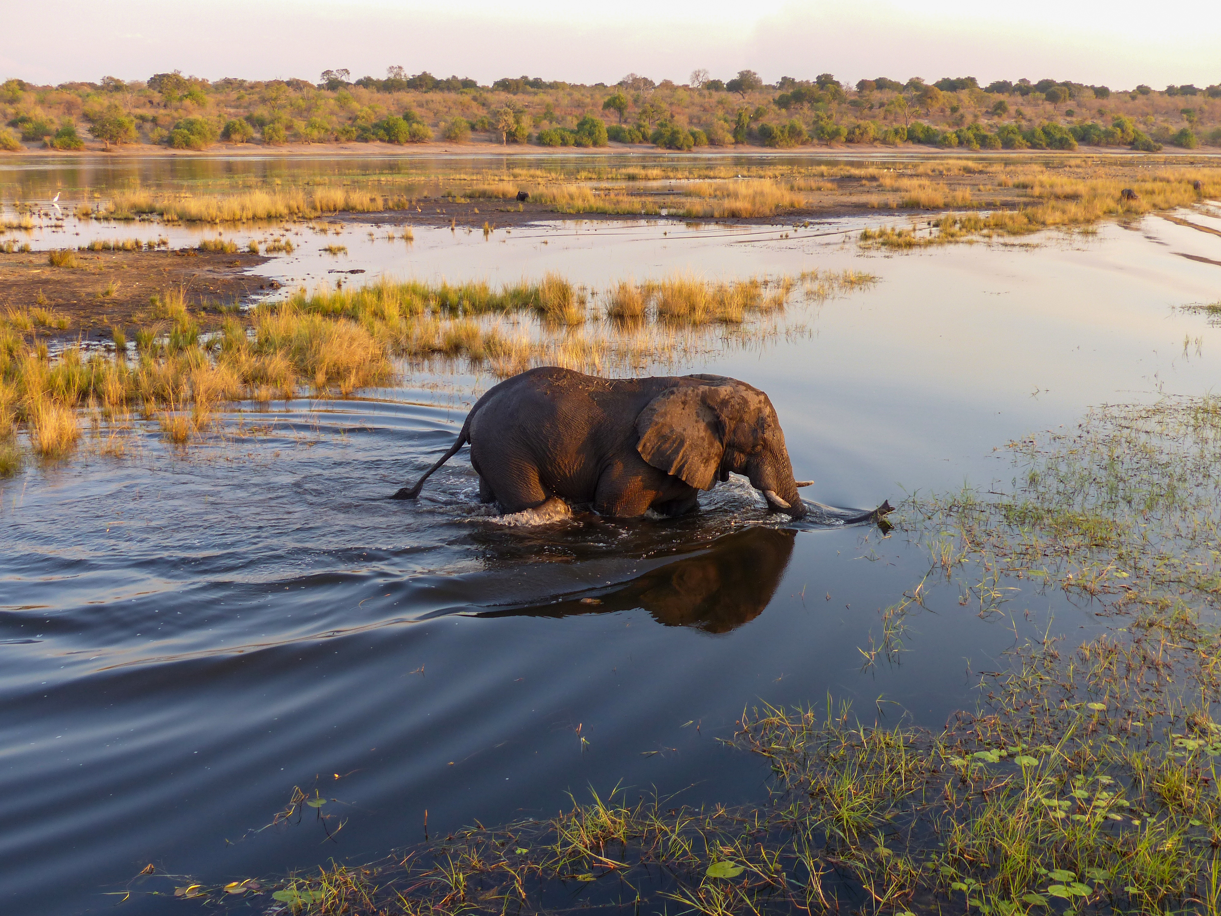 tourhub | Exodus Adventure Travels | Botswana & Zimbabwe Lodge Safari 