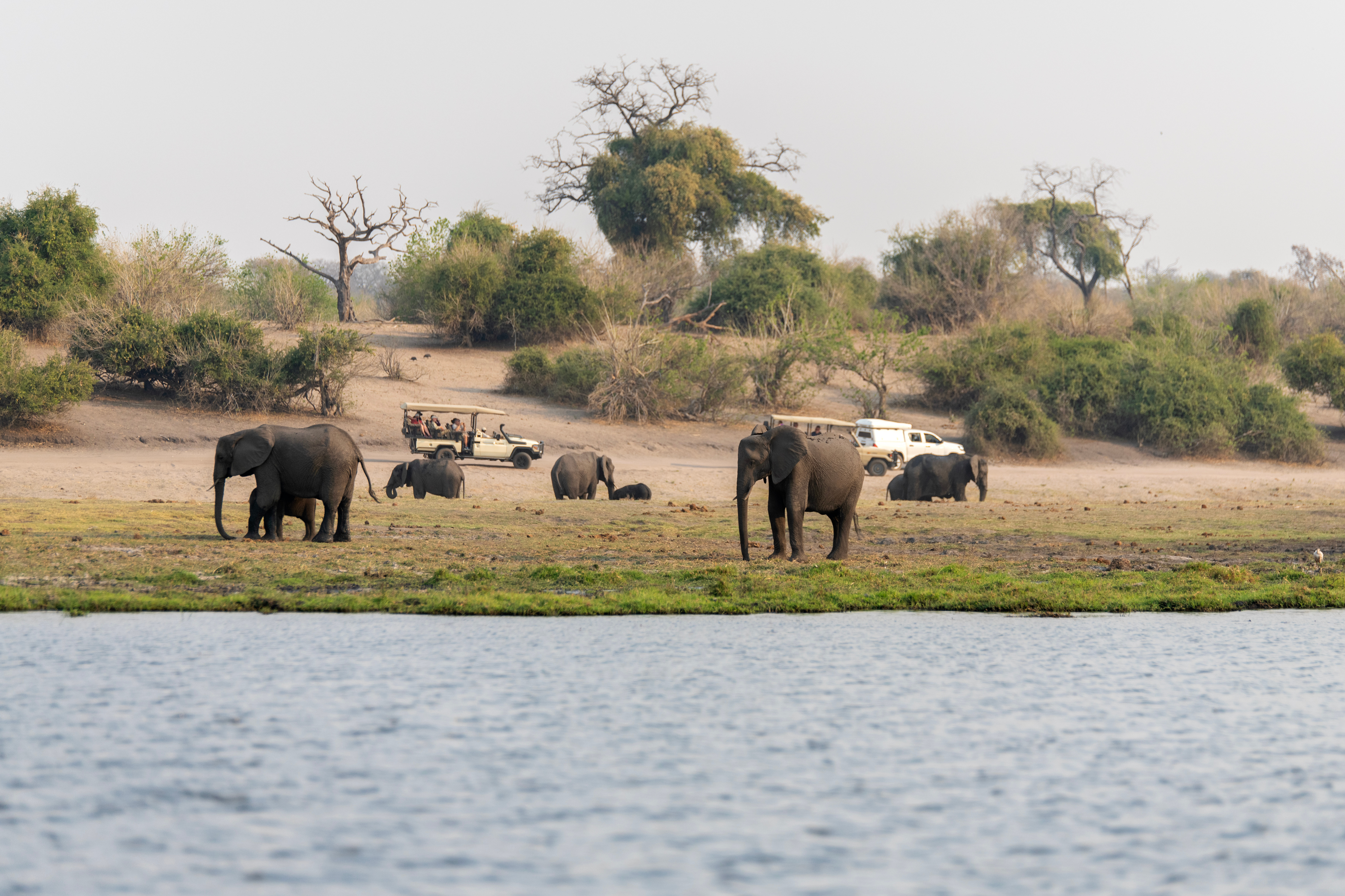 tourhub | Exodus Adventure Travels | Botswana & Zimbabwe Lodge Safari 