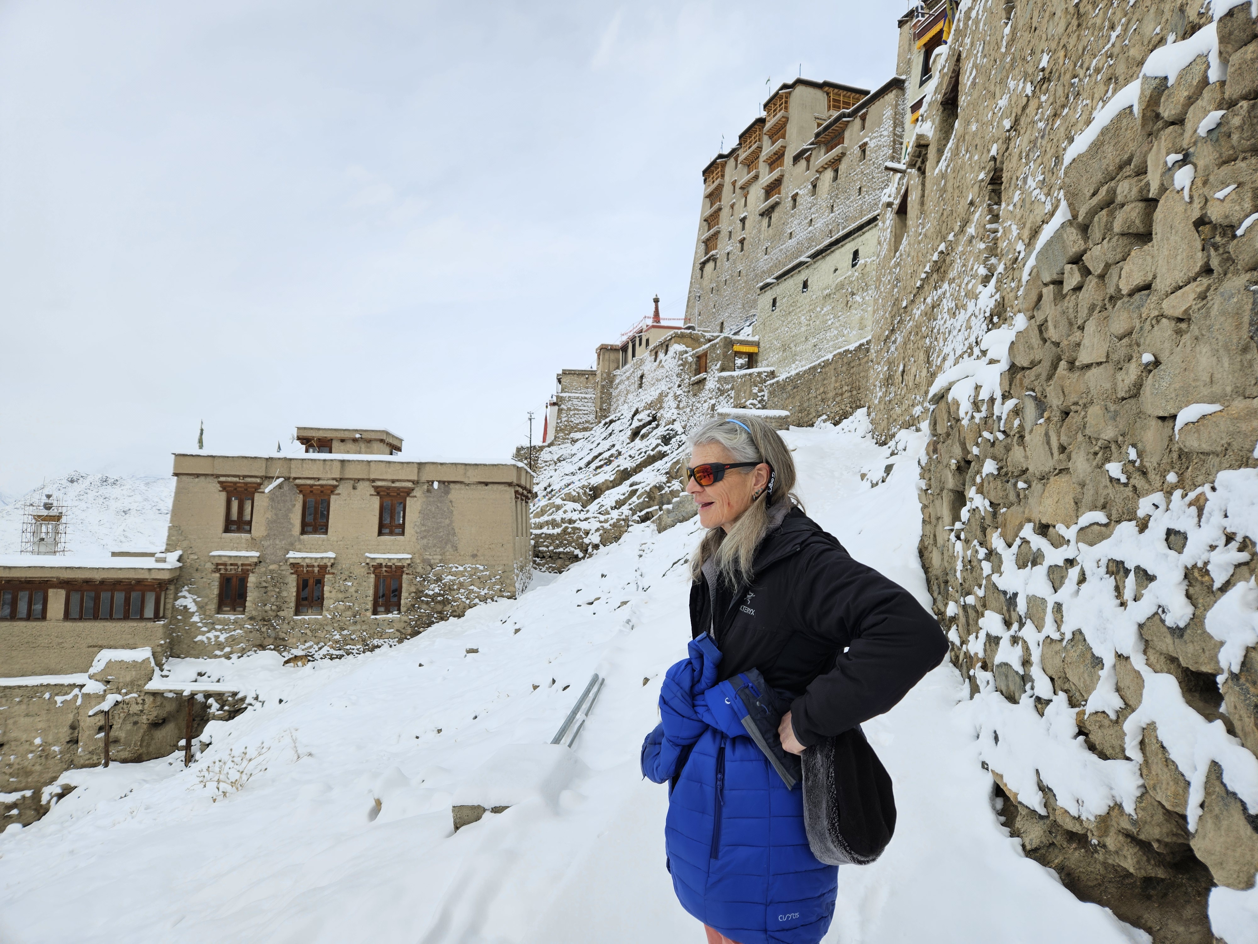 tourhub | Exodus Adventure Travels | Search for Snow Leopards with Valerie Parkinson 