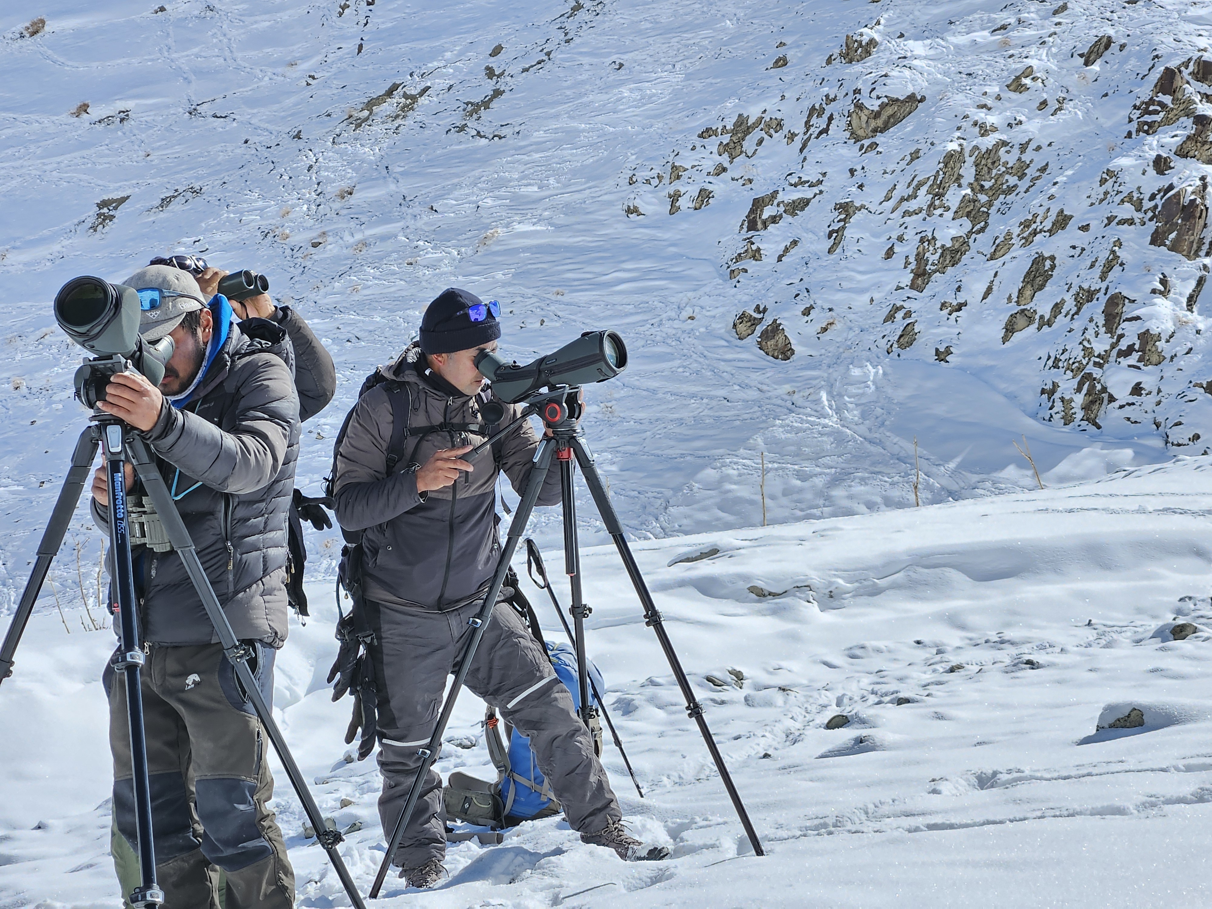 tourhub | Exodus Adventure Travels | Search for Snow Leopards with Valerie Parkinson 