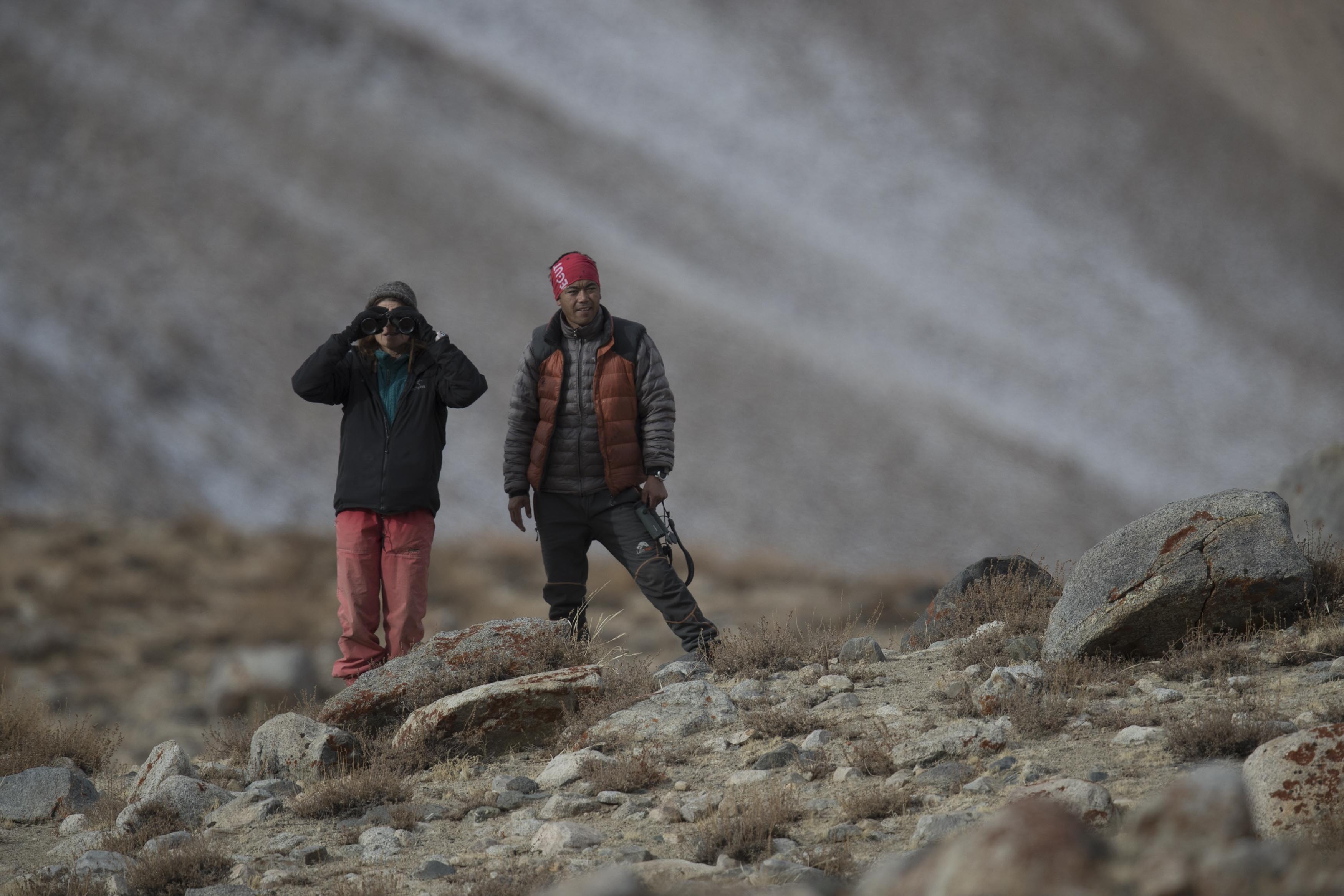 tourhub | Exodus Adventure Travels | Search for Snow Leopards with Valerie Parkinson 