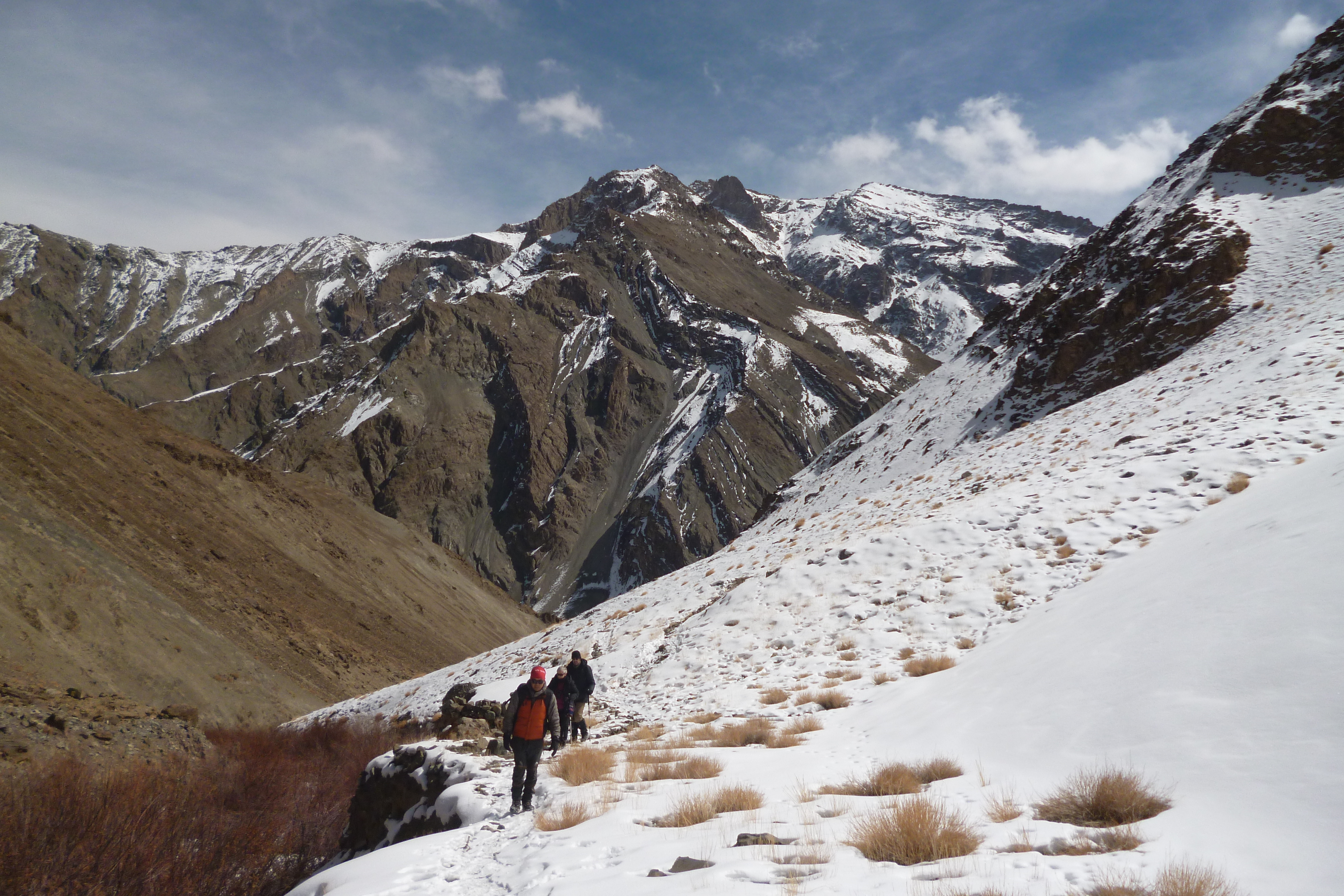 tourhub | Exodus Adventure Travels | Search for Snow Leopards with Valerie Parkinson 