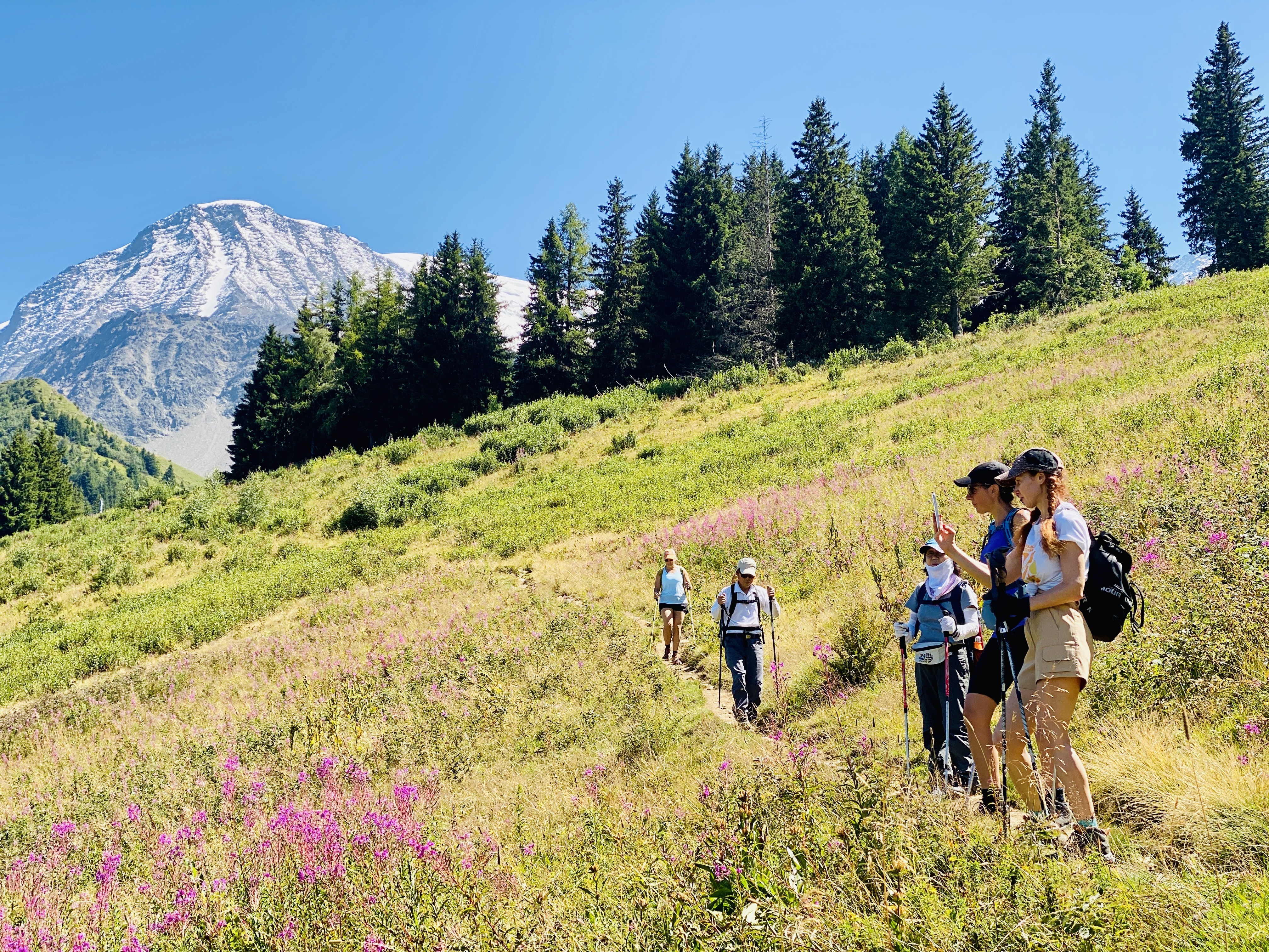 Mont Blanc Hiking Highlights