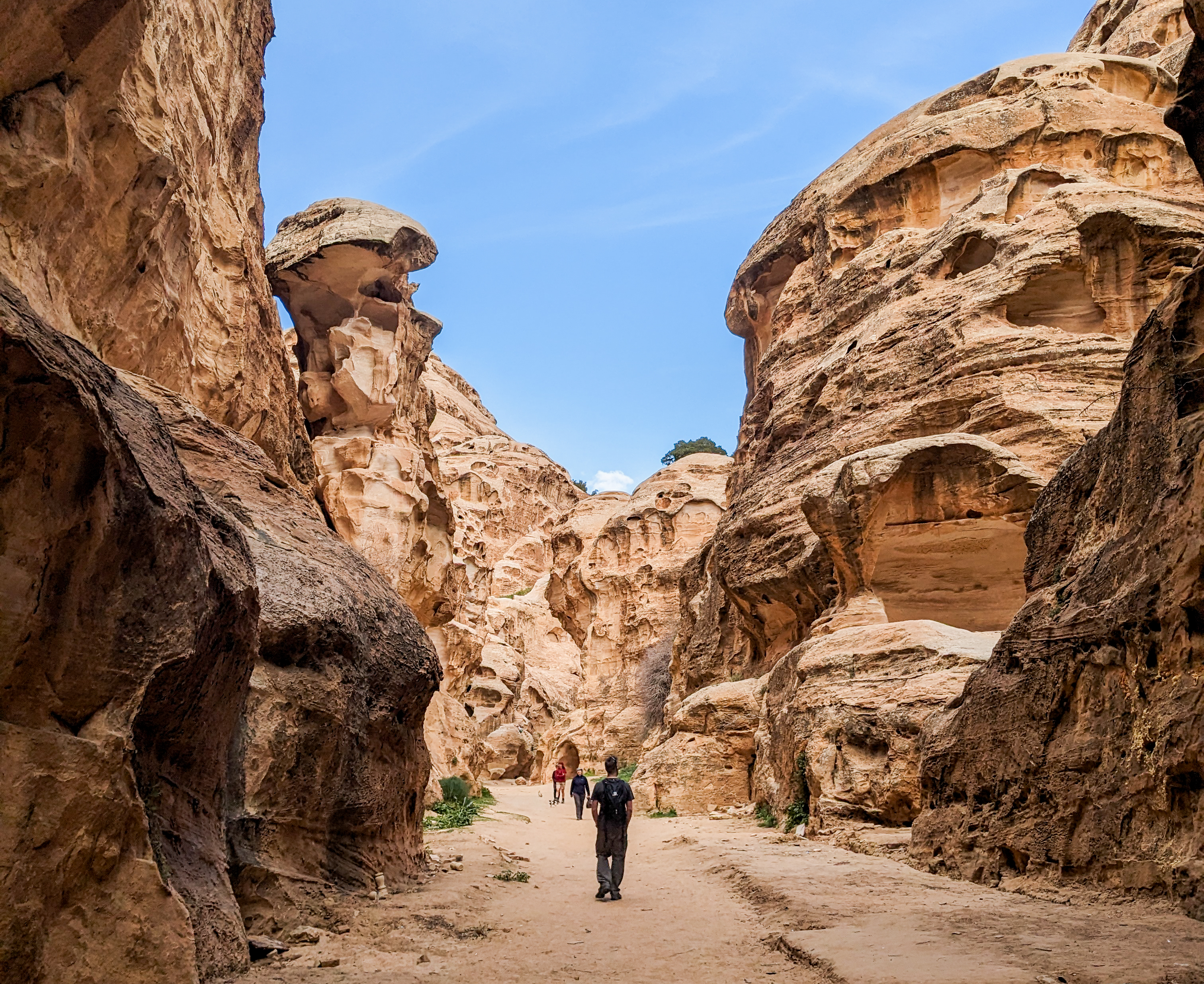 tourhub | Exodus Adventure Travels | Petra & Wadi Rum Trek 