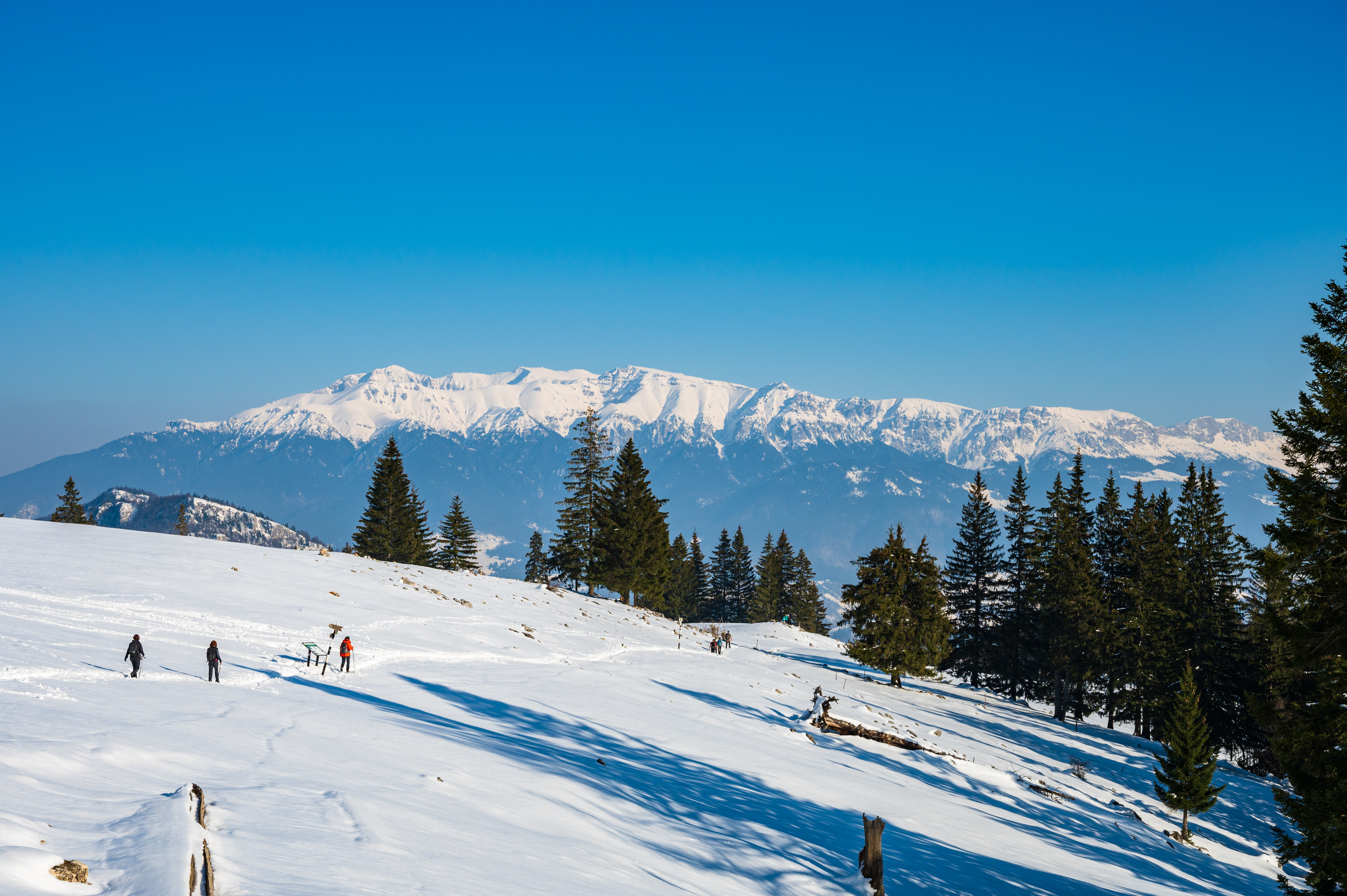 tourhub | Exodus Adventure Travels | Transylvania Winter Walk & Snowshoe 