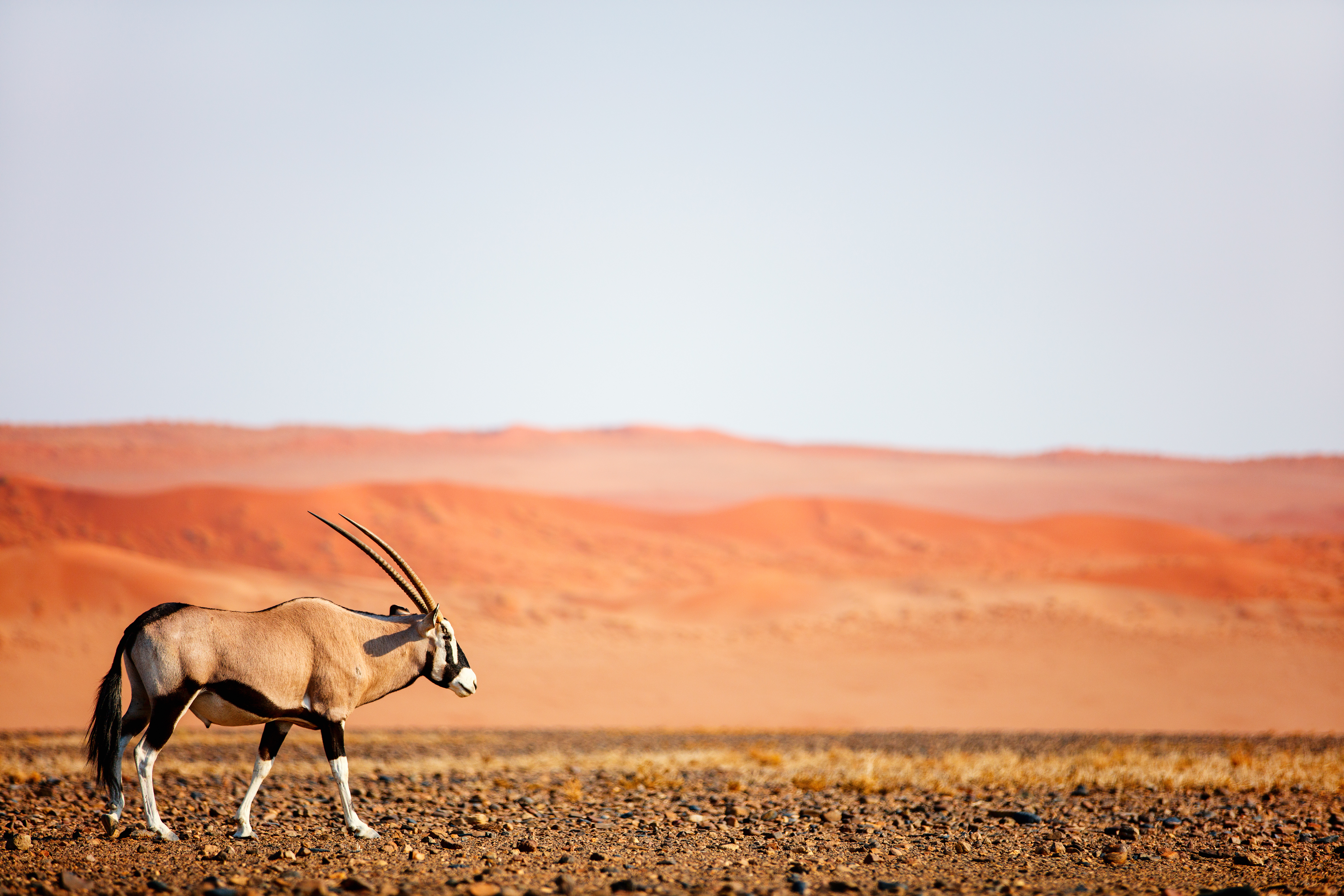 tourhub | Exodus Adventure Travels | Discover Namibia - Camping 