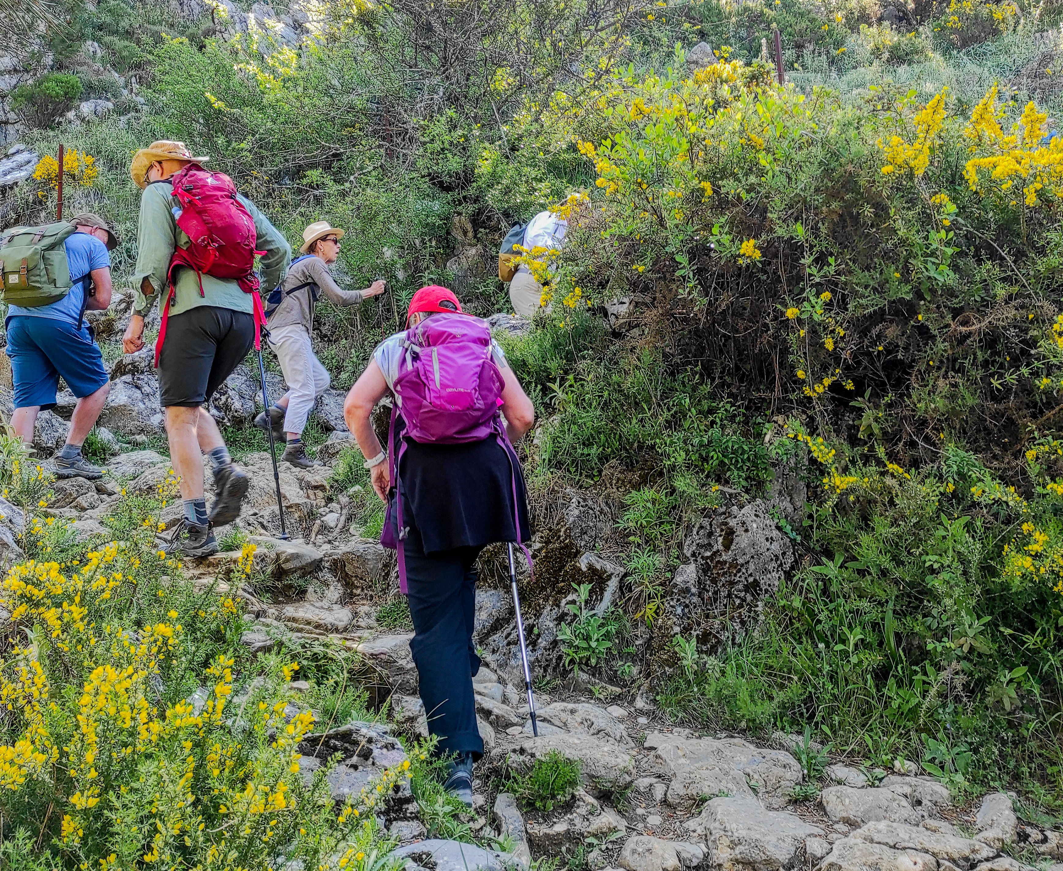 tourhub | Exodus Adventure Travels | Walking in Andalucia 