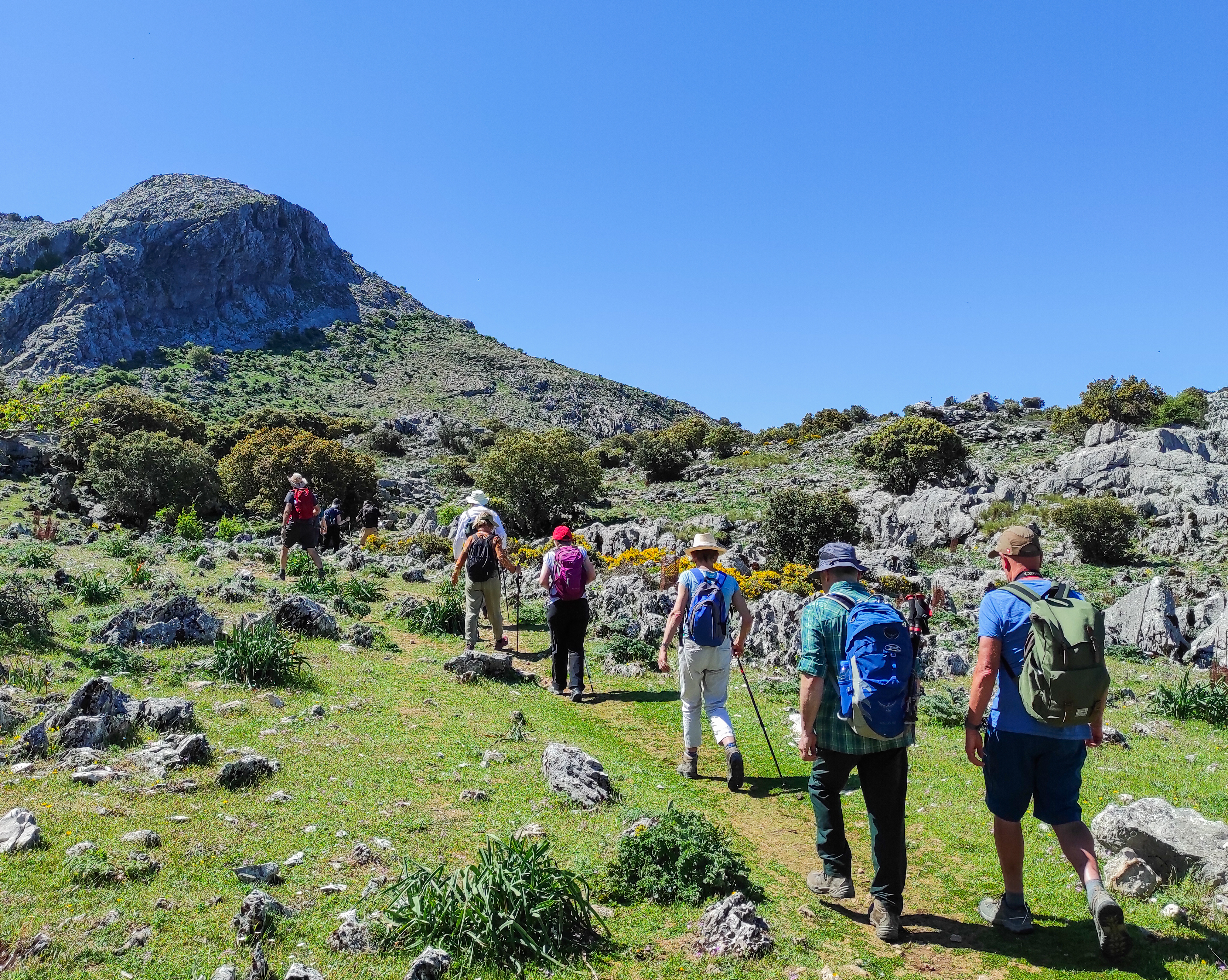 tourhub | Exodus Adventure Travels | Walking in Andalucia 