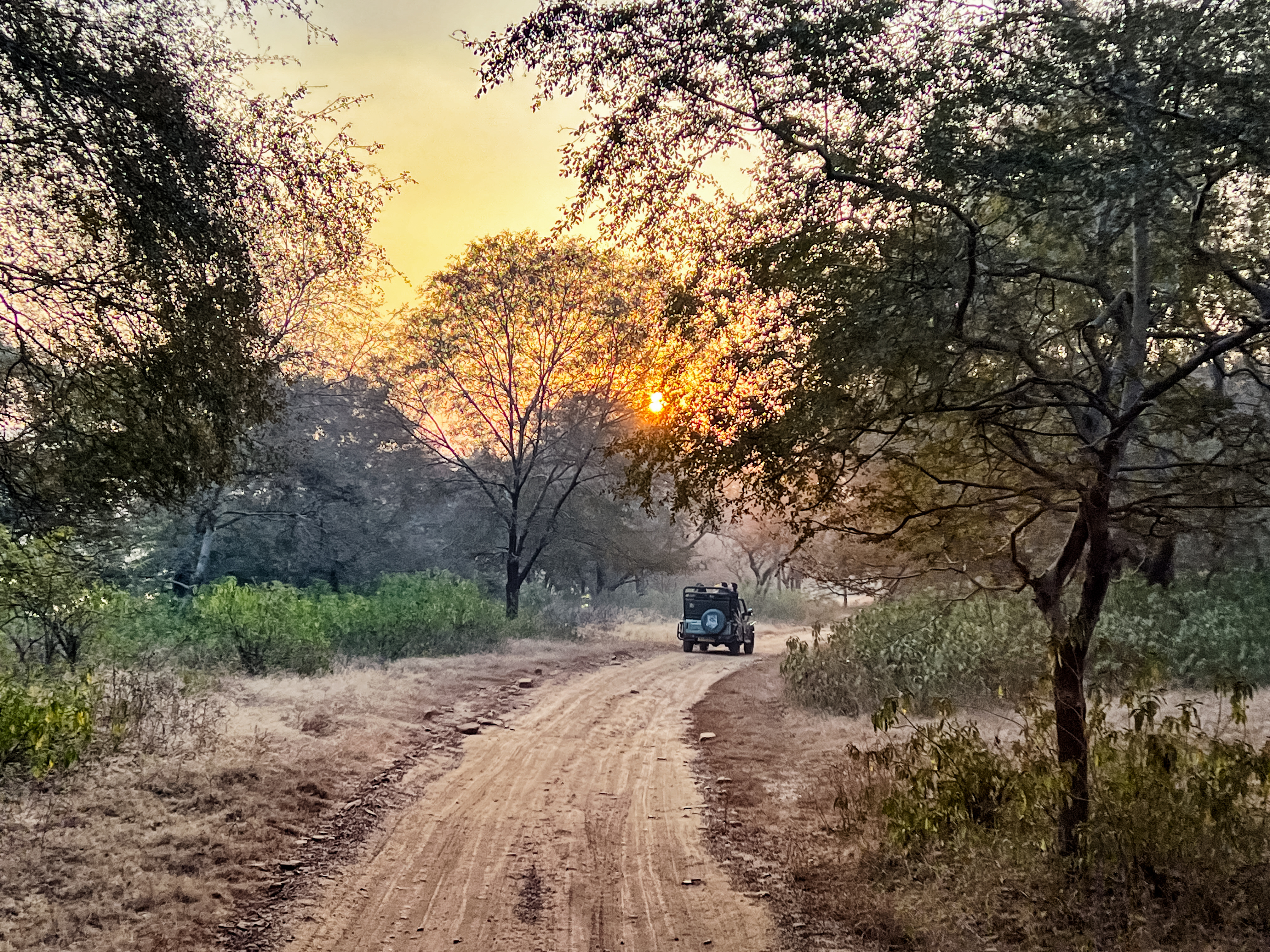 tourhub | Exodus Adventure Travels | Colours of Rajasthan 