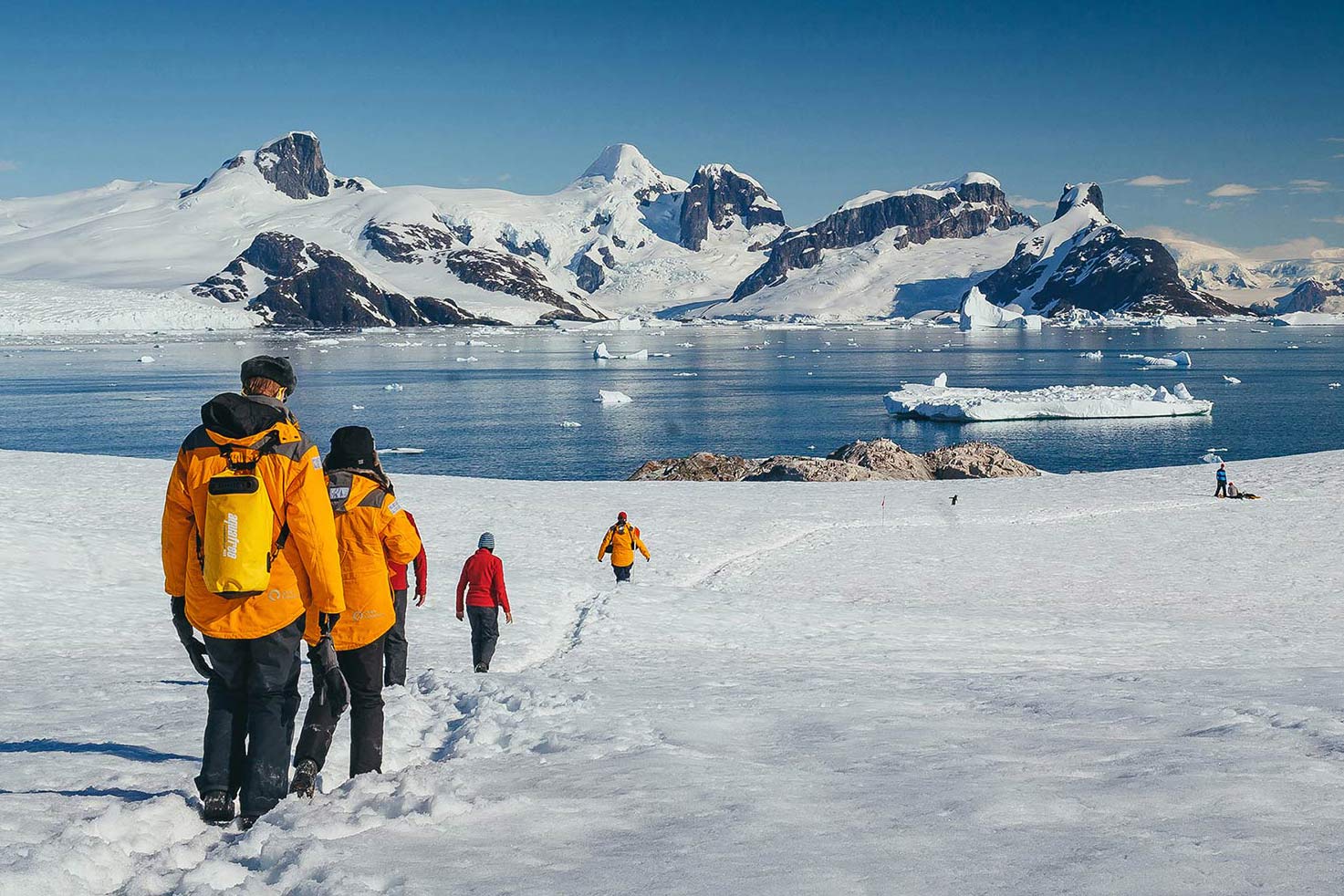 tourhub | Exodus Adventure Travels | Antarctic Explorer 