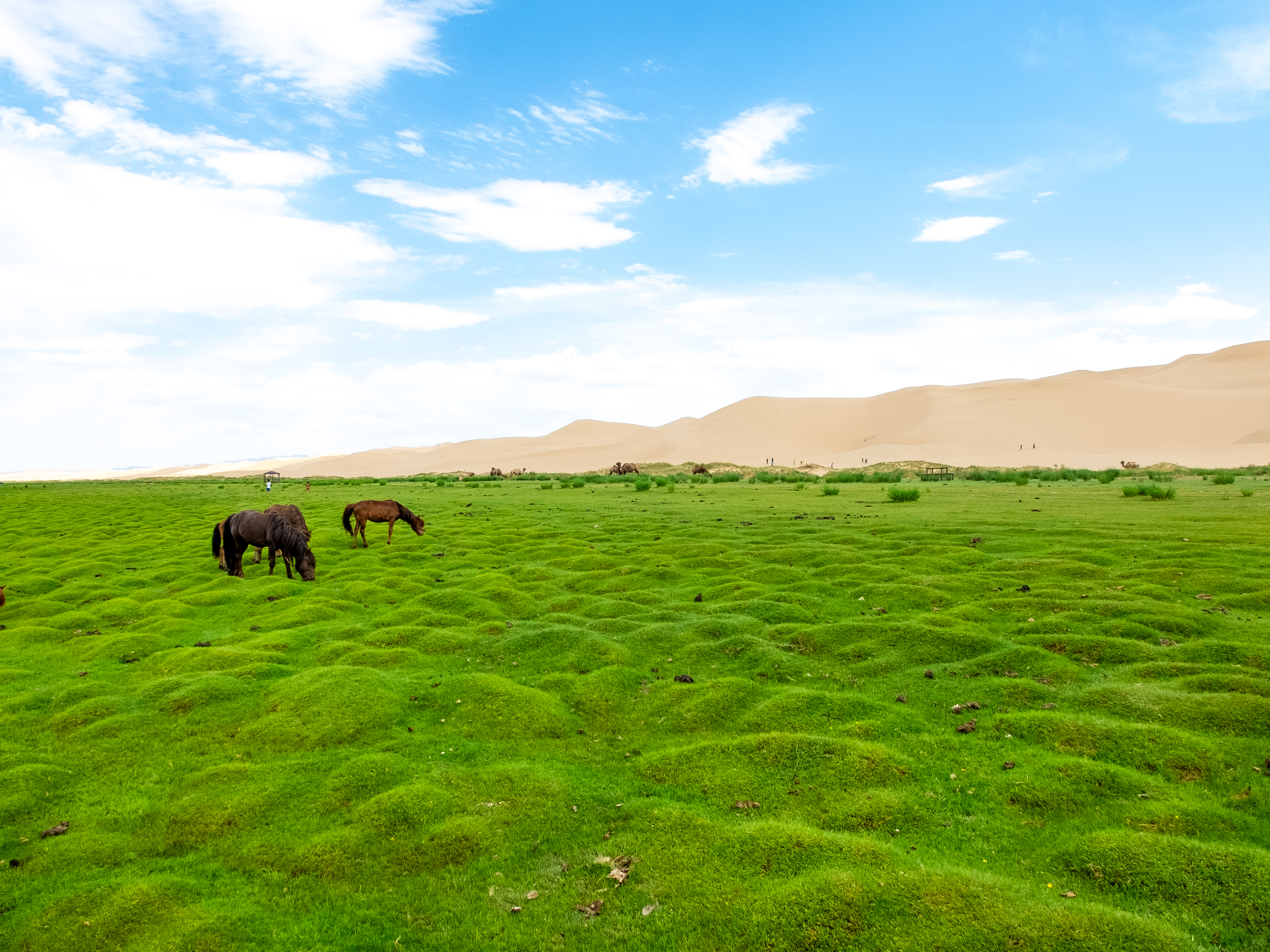 tourhub | Exodus Adventure Travels | Cycling in Mongolia 