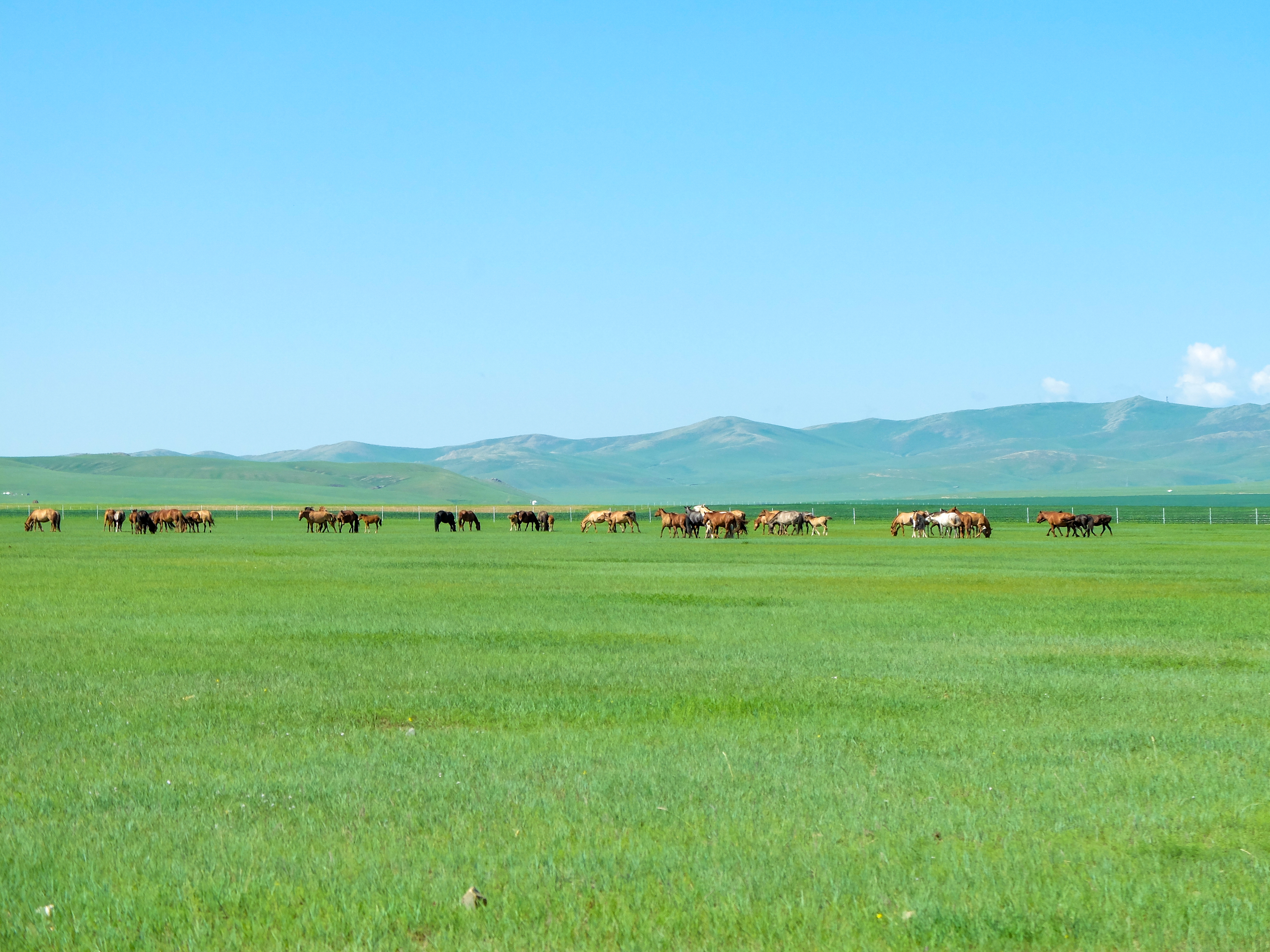 tourhub | Exodus Adventure Travels | Cycling in Mongolia 