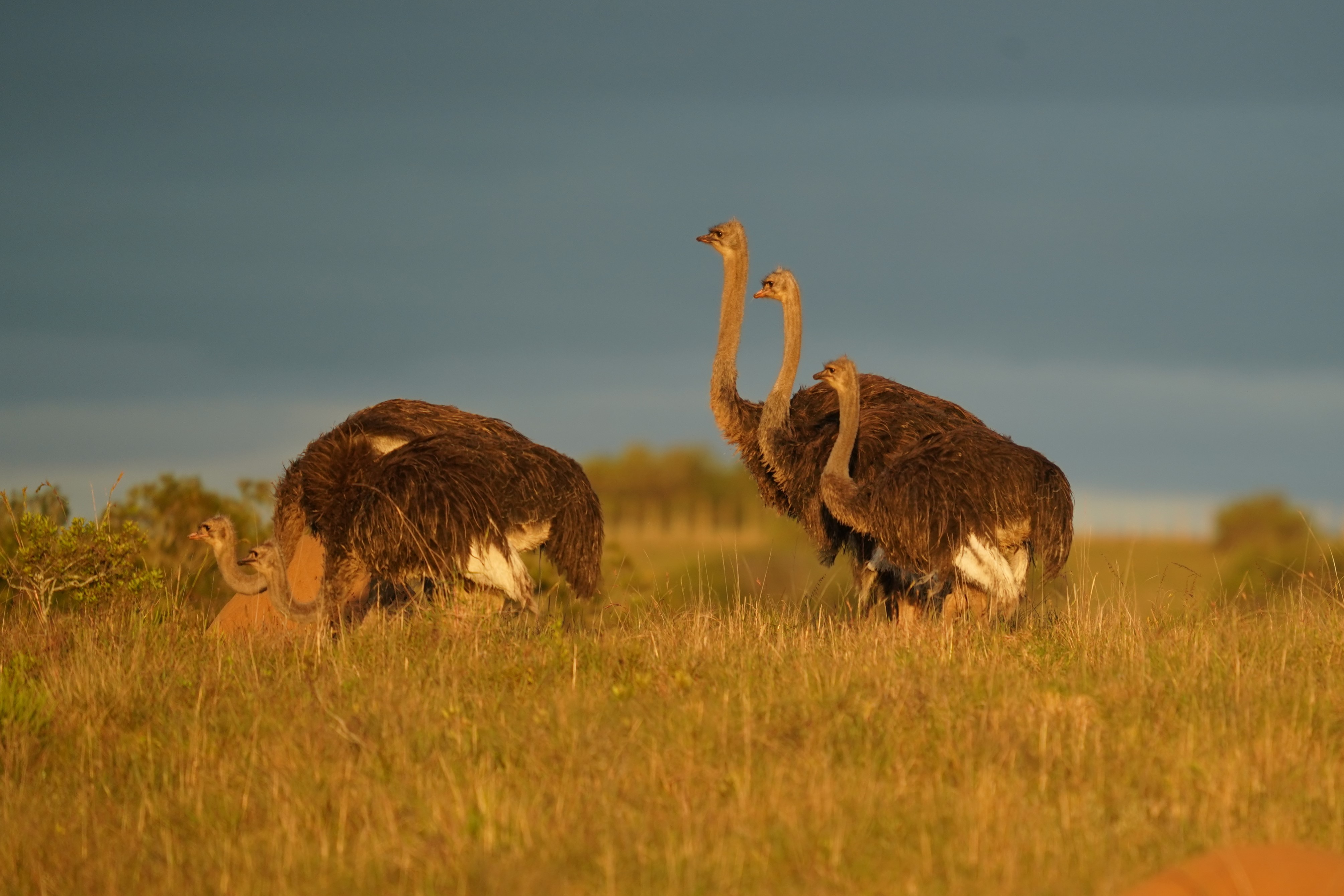 tourhub | Exodus Adventure Travels | Cape Town & the Garden Route 