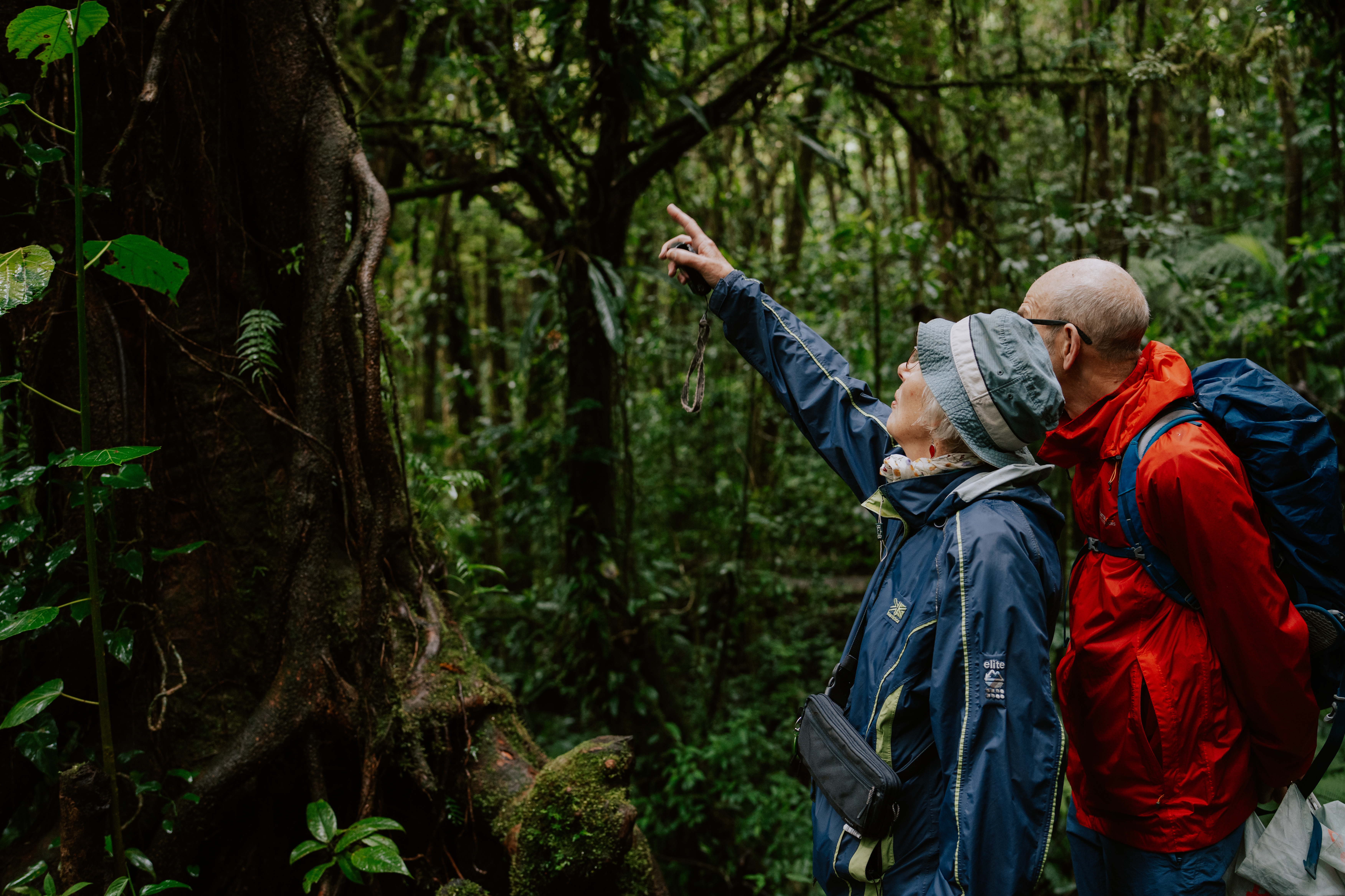 tourhub | Exodus Adventure Travels | Natural Highlights of Costa Rica 