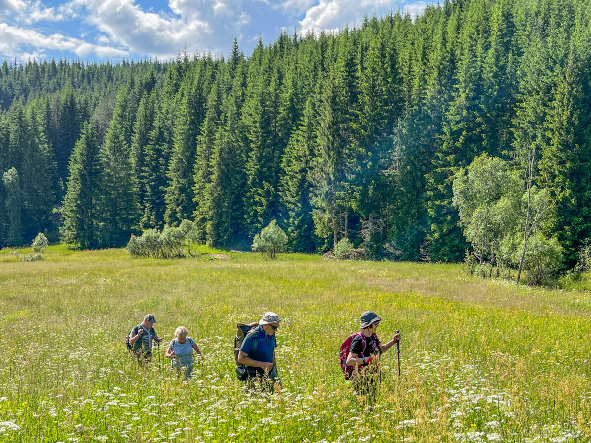 tourhub | Exodus Adventure Travels | Bulgaria: Realm of the Brown Bear 