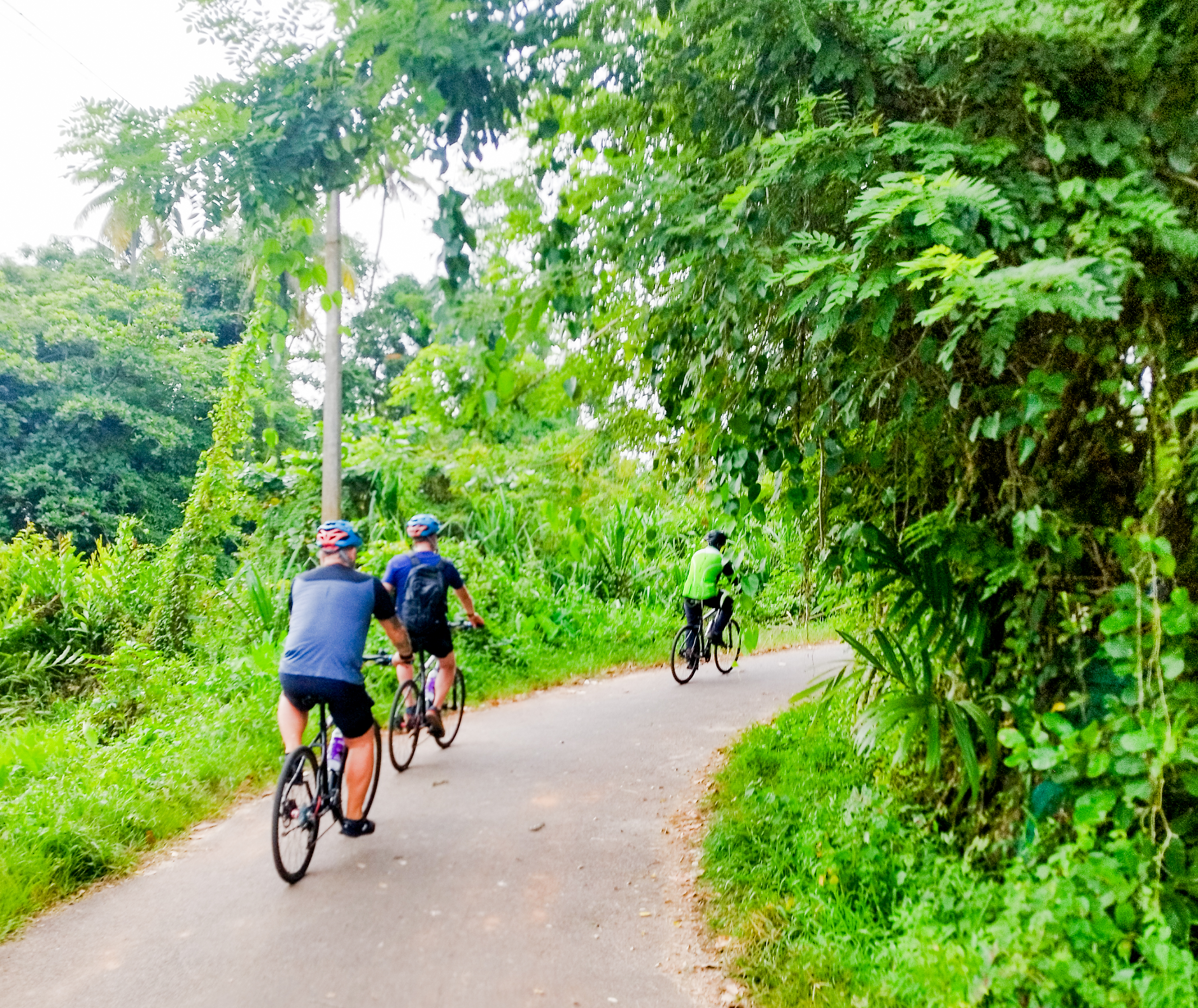 tourhub | Exodus Adventure Travels | Cycle the Coast of Kerala 