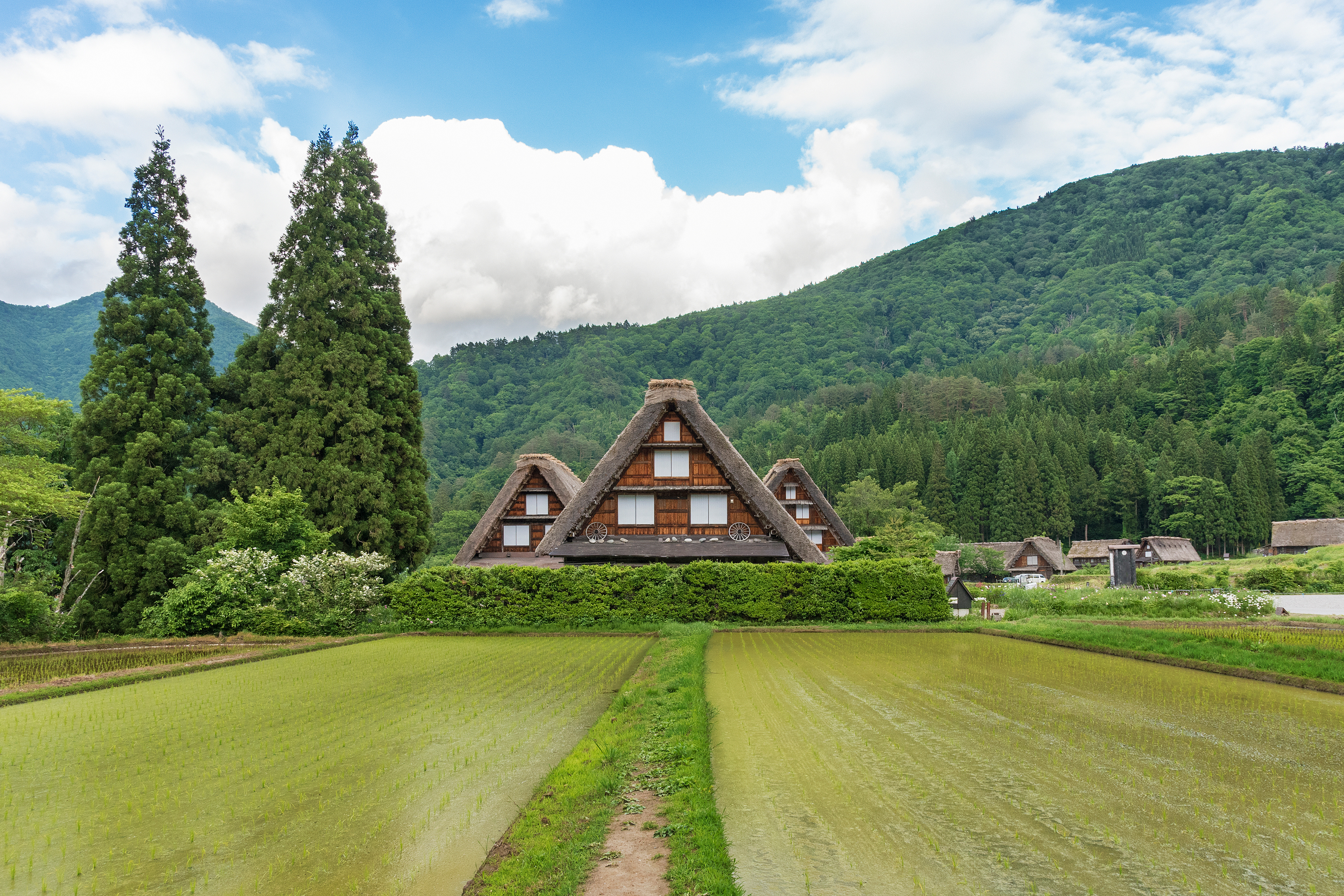 tourhub | Exodus Adventure Travels | Cycling in Japan 