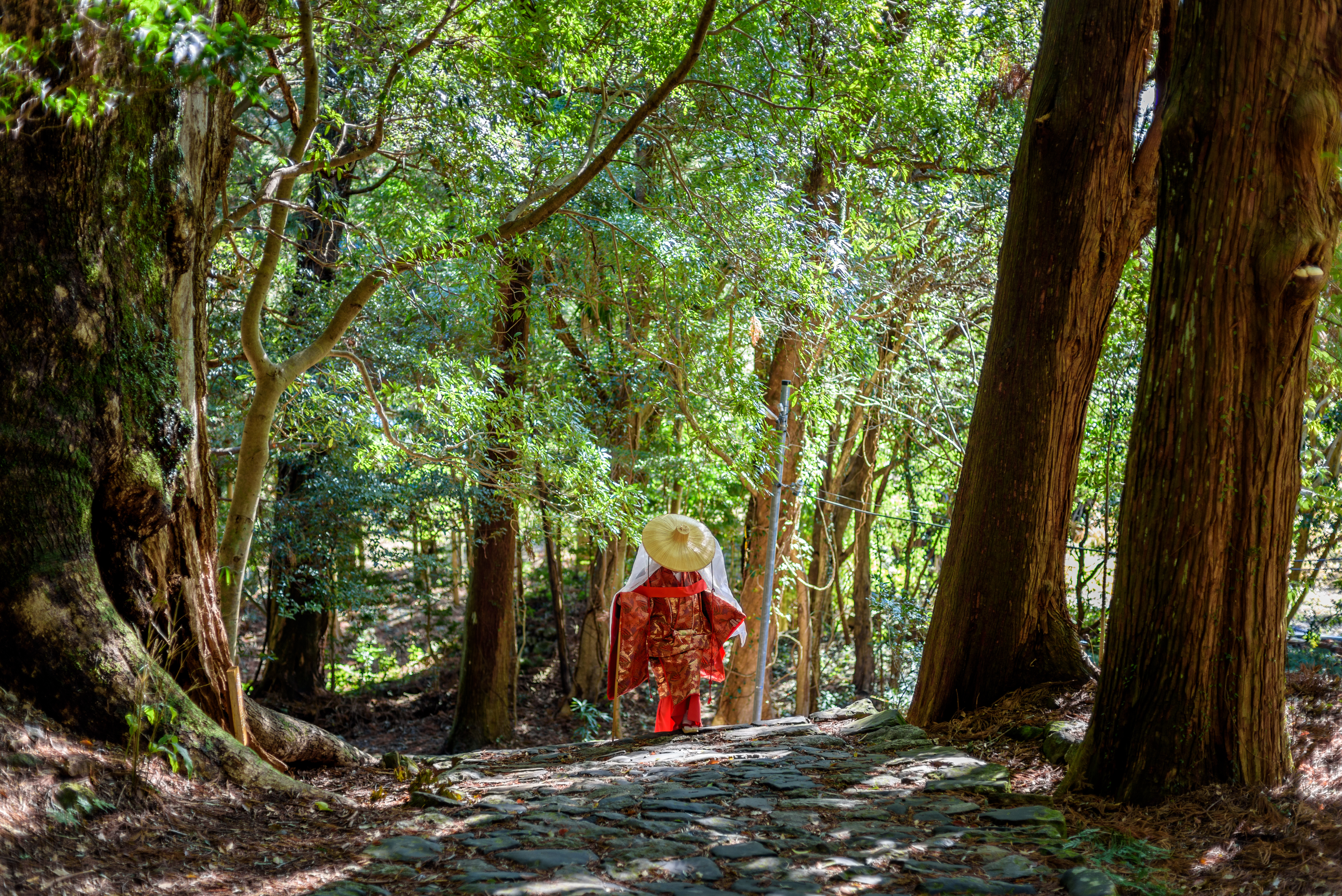 tourhub | Exodus Adventure Travels | Japan's Kumano Kodo 