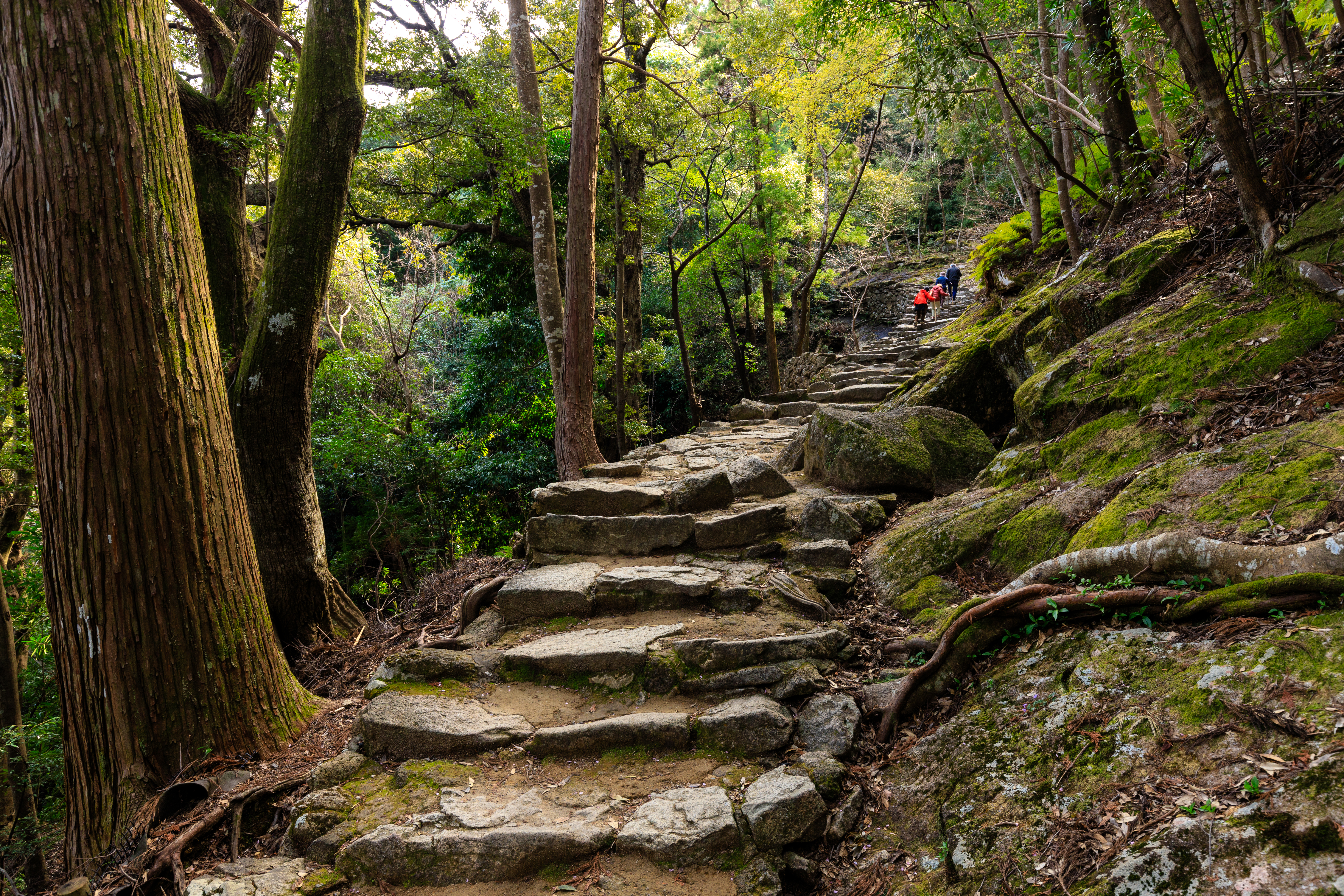 tourhub | Exodus Adventure Travels | Japan's Kumano Kodo 