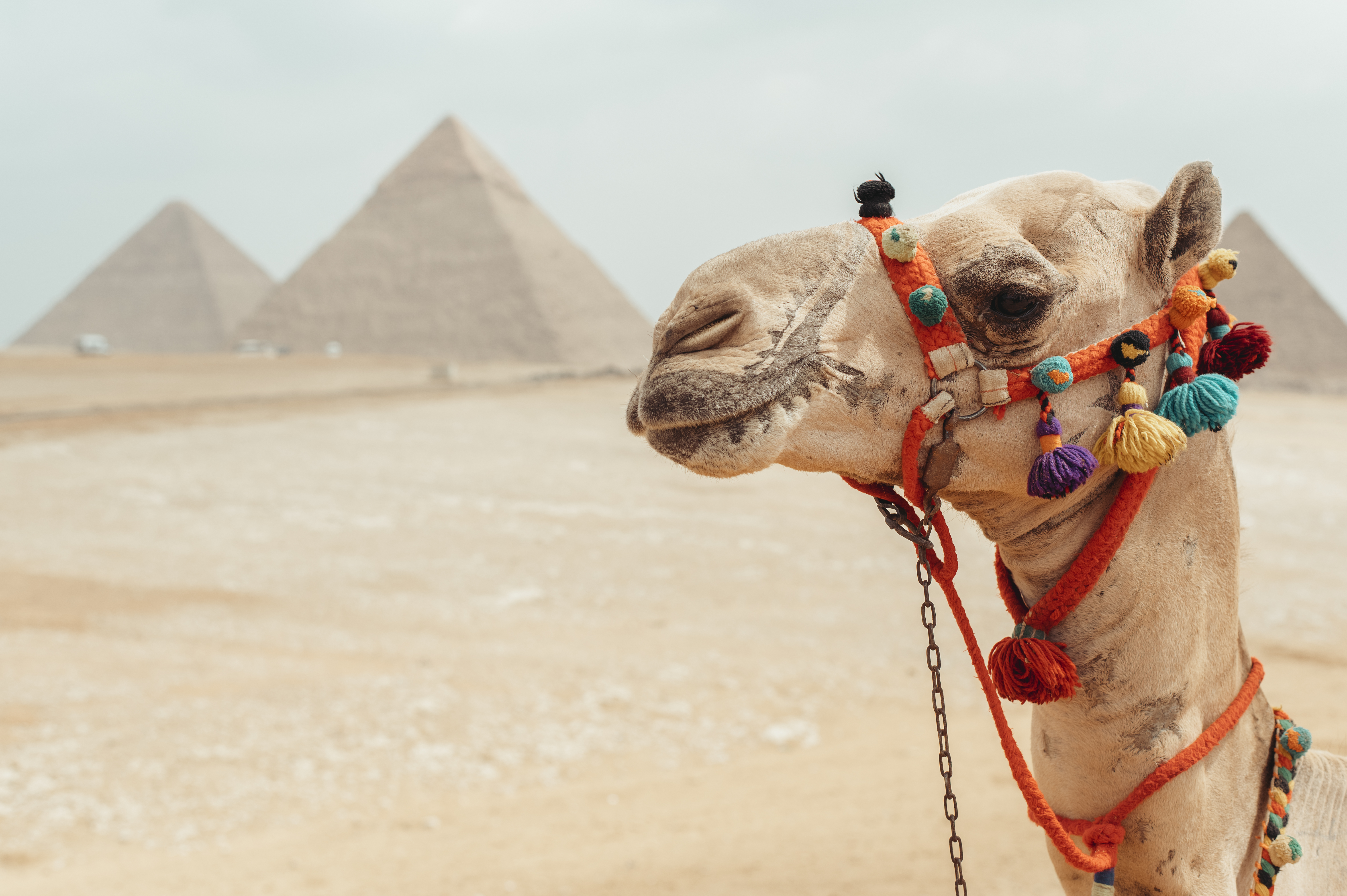 tourhub | Exodus Adventure Travels | Egypt: Alexandria to Aswan 