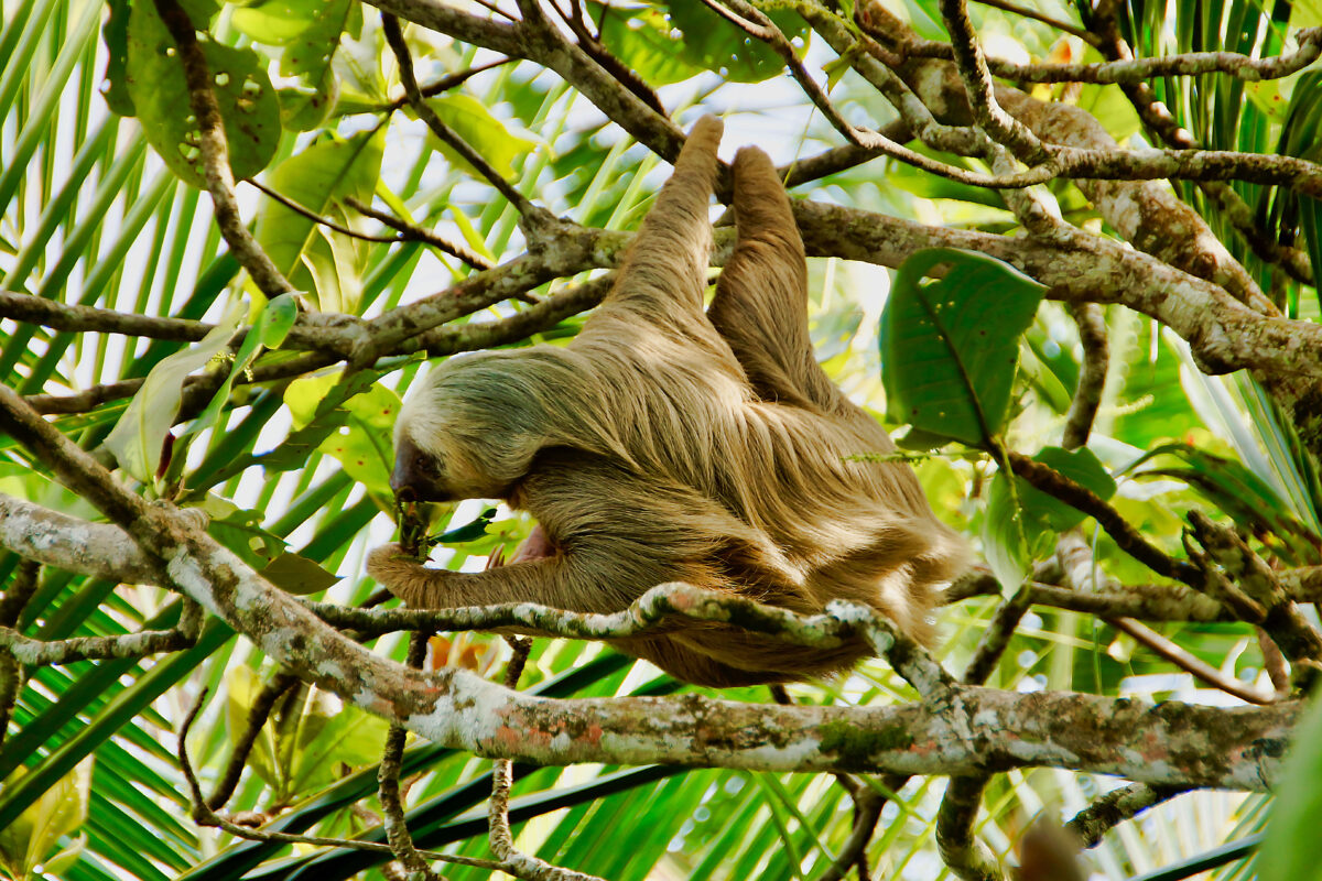 tourhub | Exodus Adventure Travels | Costa Rica's Coastal Secrets 