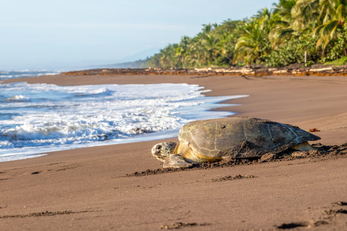 tourhub | Exodus Adventure Travels | Costa Rica's Coastal Secrets 