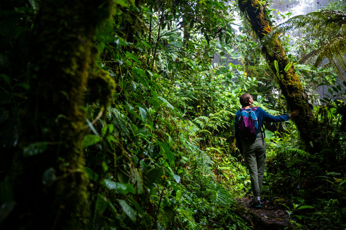 tourhub | Exodus Adventure Travels | Costa Rica's Coastal Secrets 