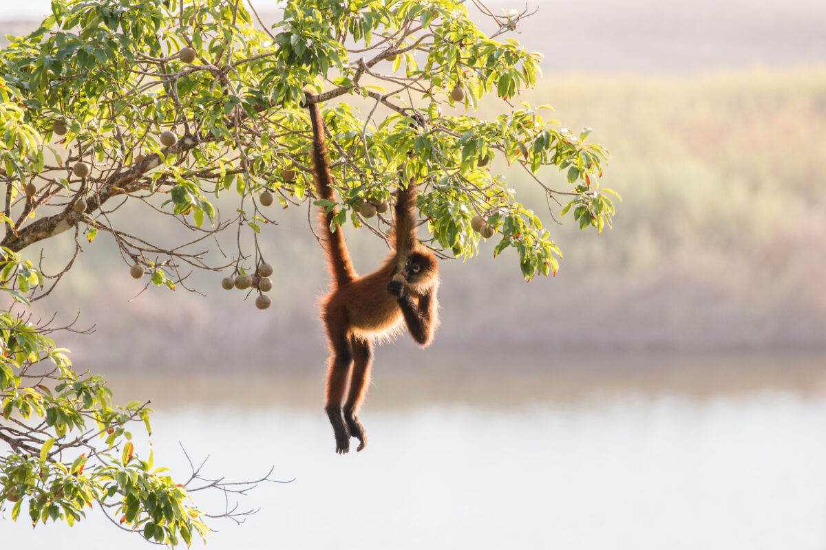 tourhub | Exodus Adventure Travels | Costa Rica's Coastal Secrets 