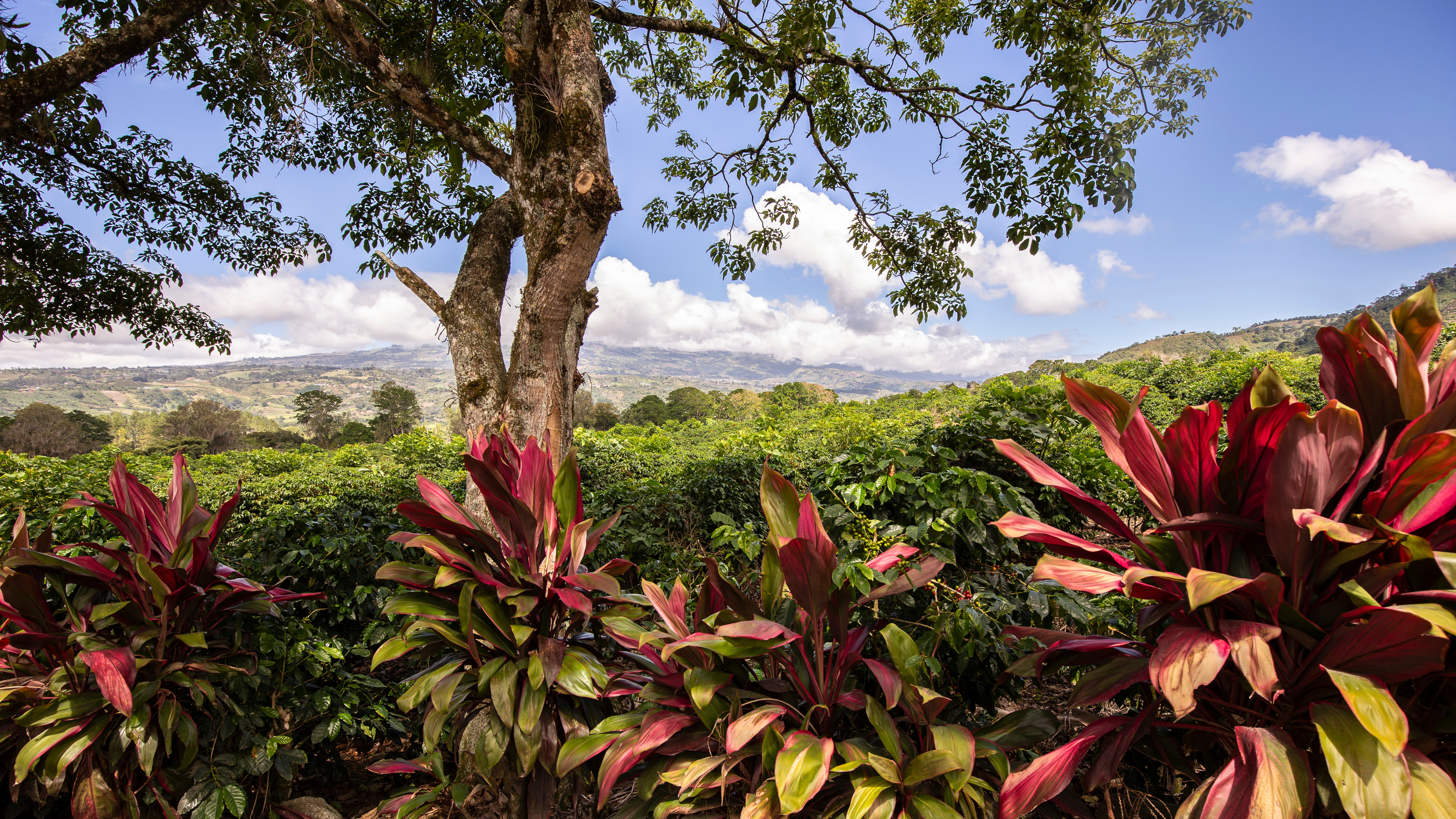 tourhub | Exodus Adventure Travels | Costa Rica's Coastal Secrets 