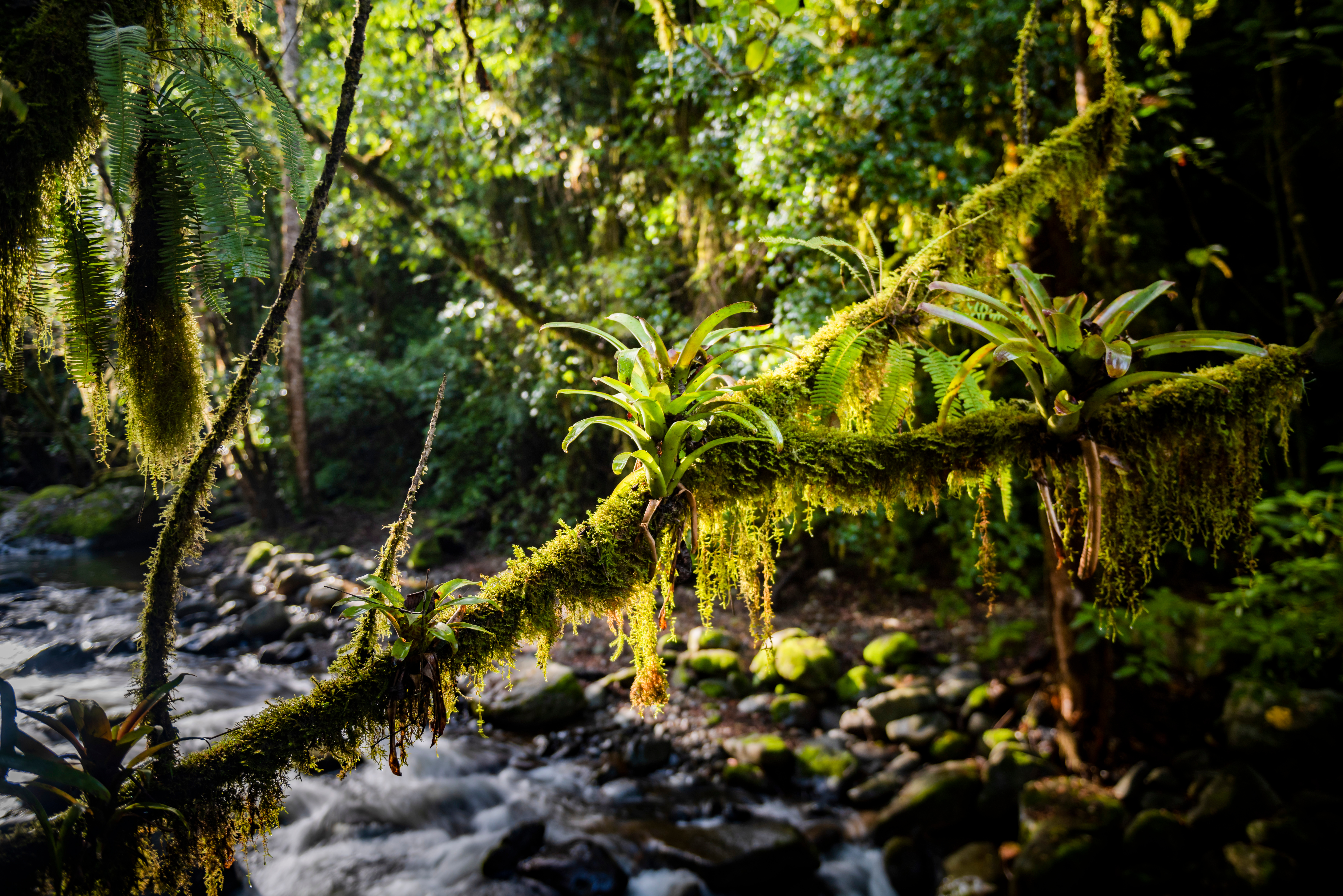 tourhub | Exodus Adventure Travels | Costa Rica's Coastal Secrets 