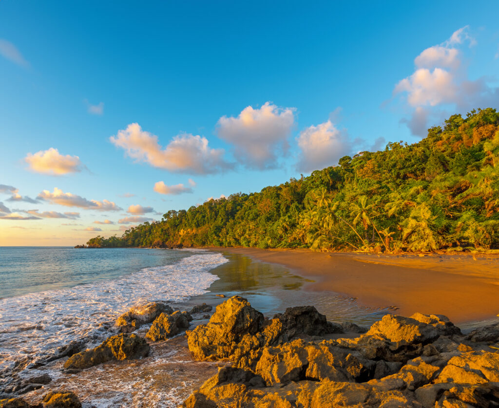 Costa Rica's Coastal Secrets Exodus