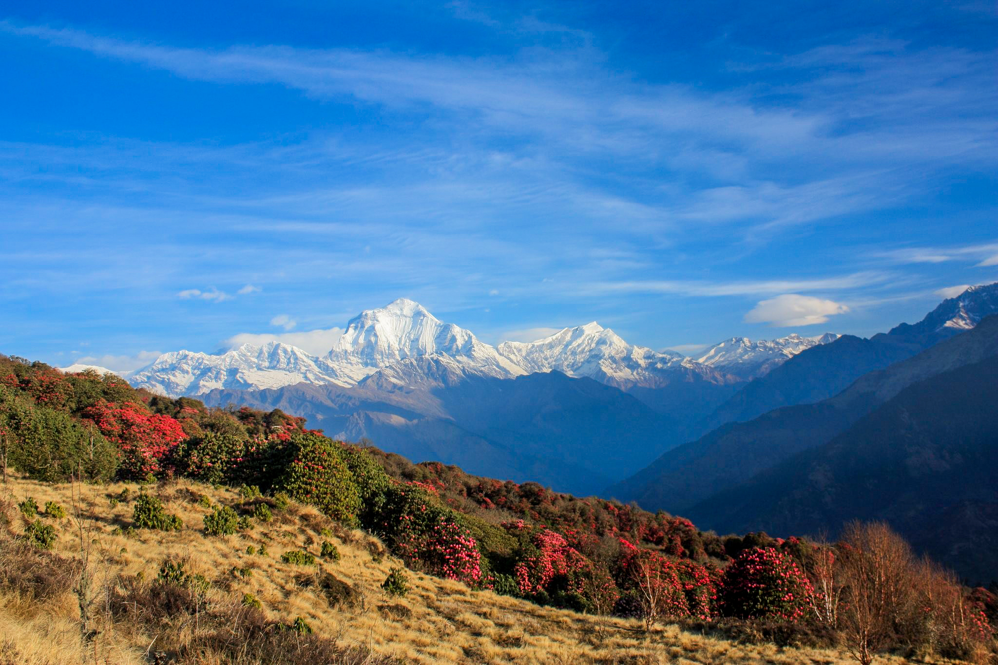 tourhub | Exodus Adventure Travels | Annapurna Sanctuary Trek 