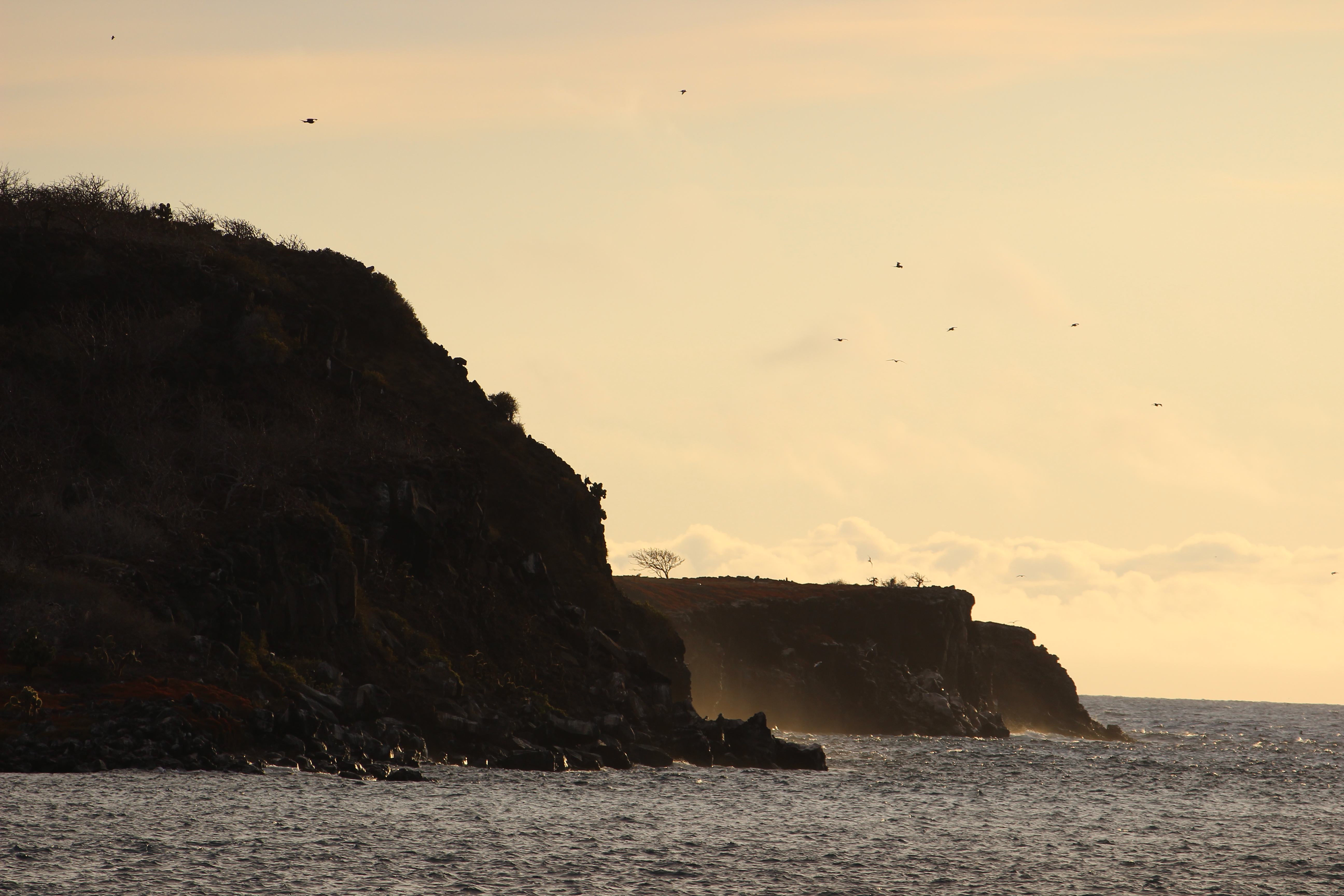 tourhub | Exodus Adventure Travels | Galapagos Encounter - Archipel I (Itinerary A) 