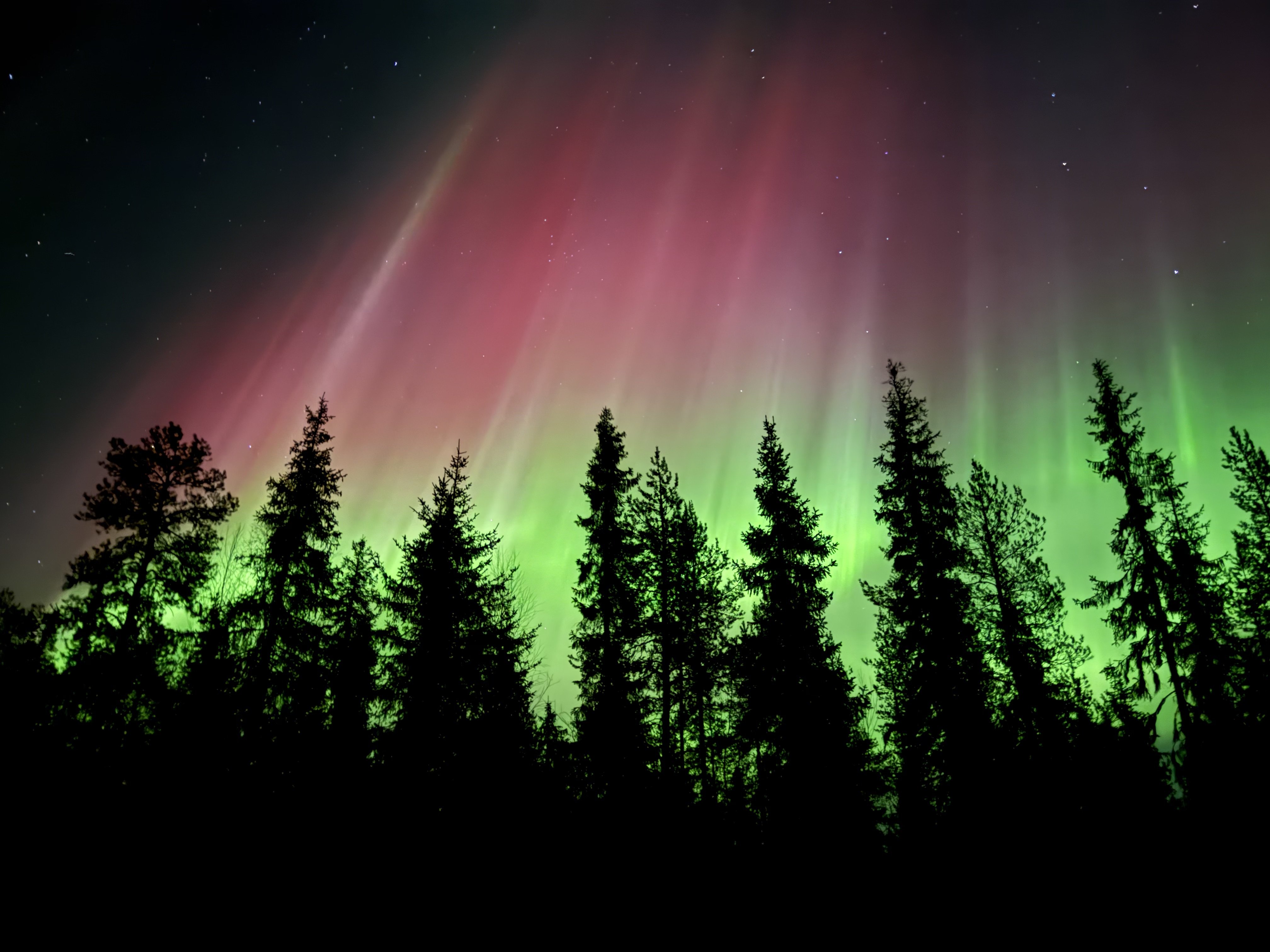 Arctic Circle Aurora Adventure