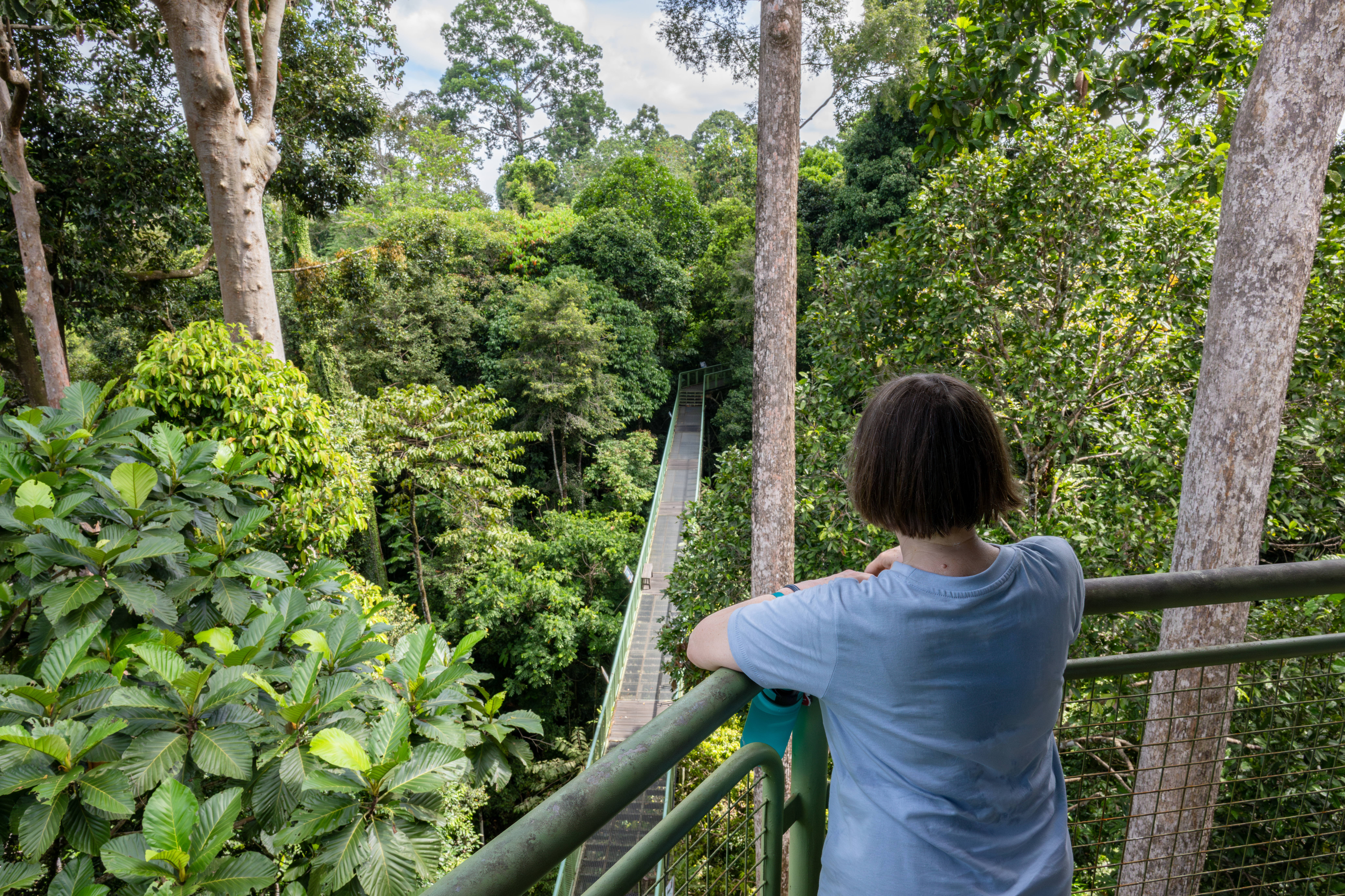 Borneo & the Malaysian Peninsula