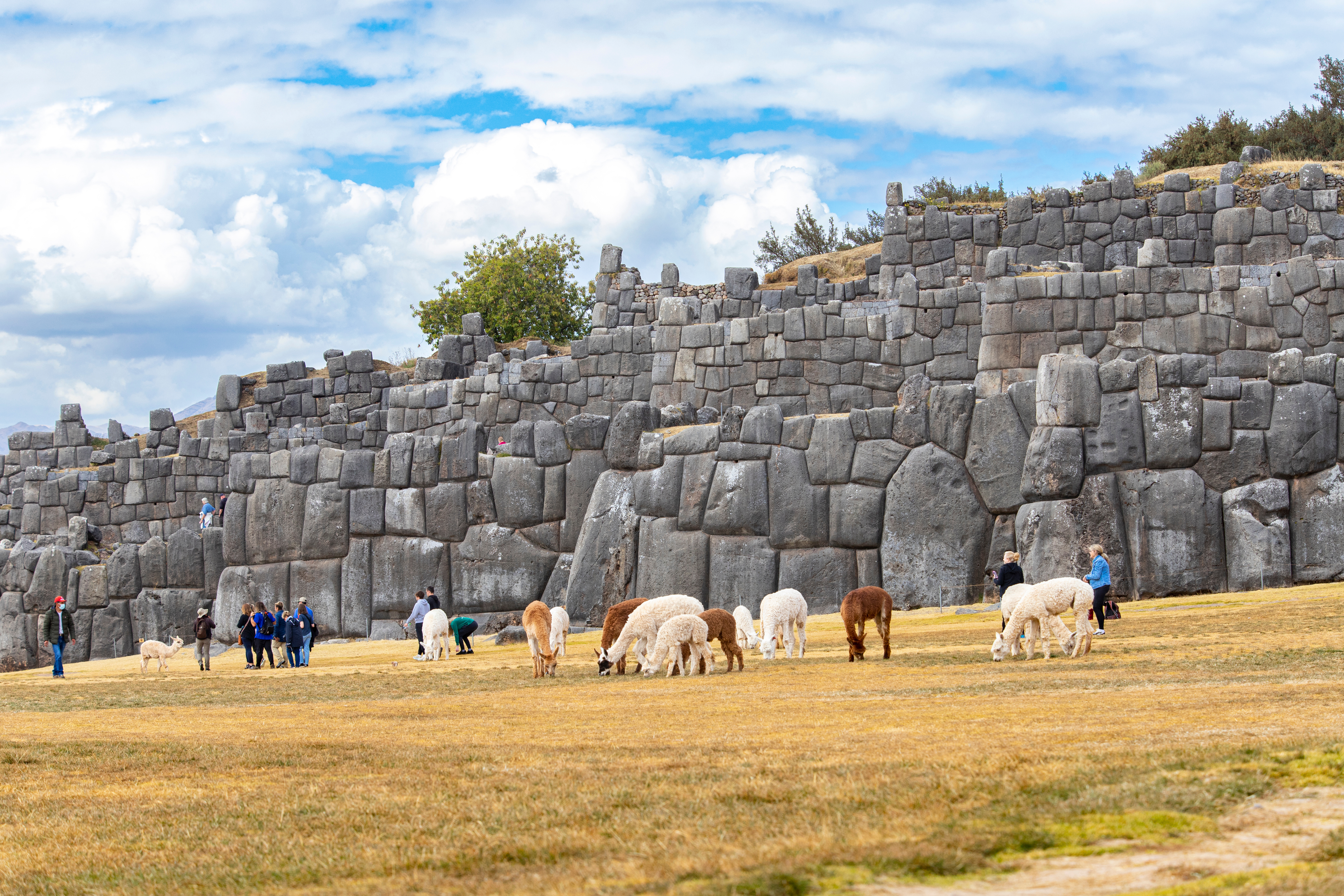 tourhub | Exodus Adventure Travels | The Inca Trail 